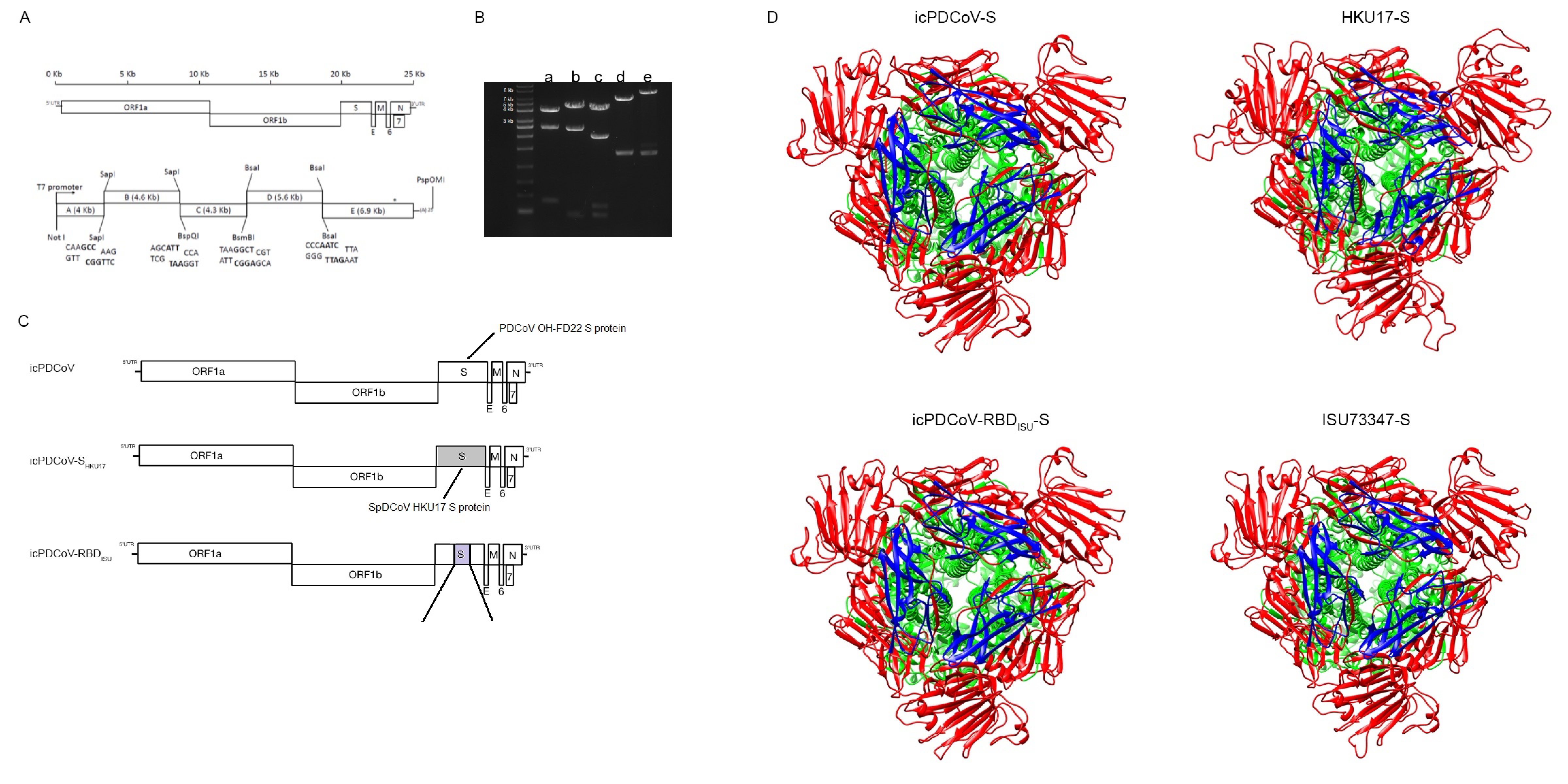Viruses 13 00122 g001