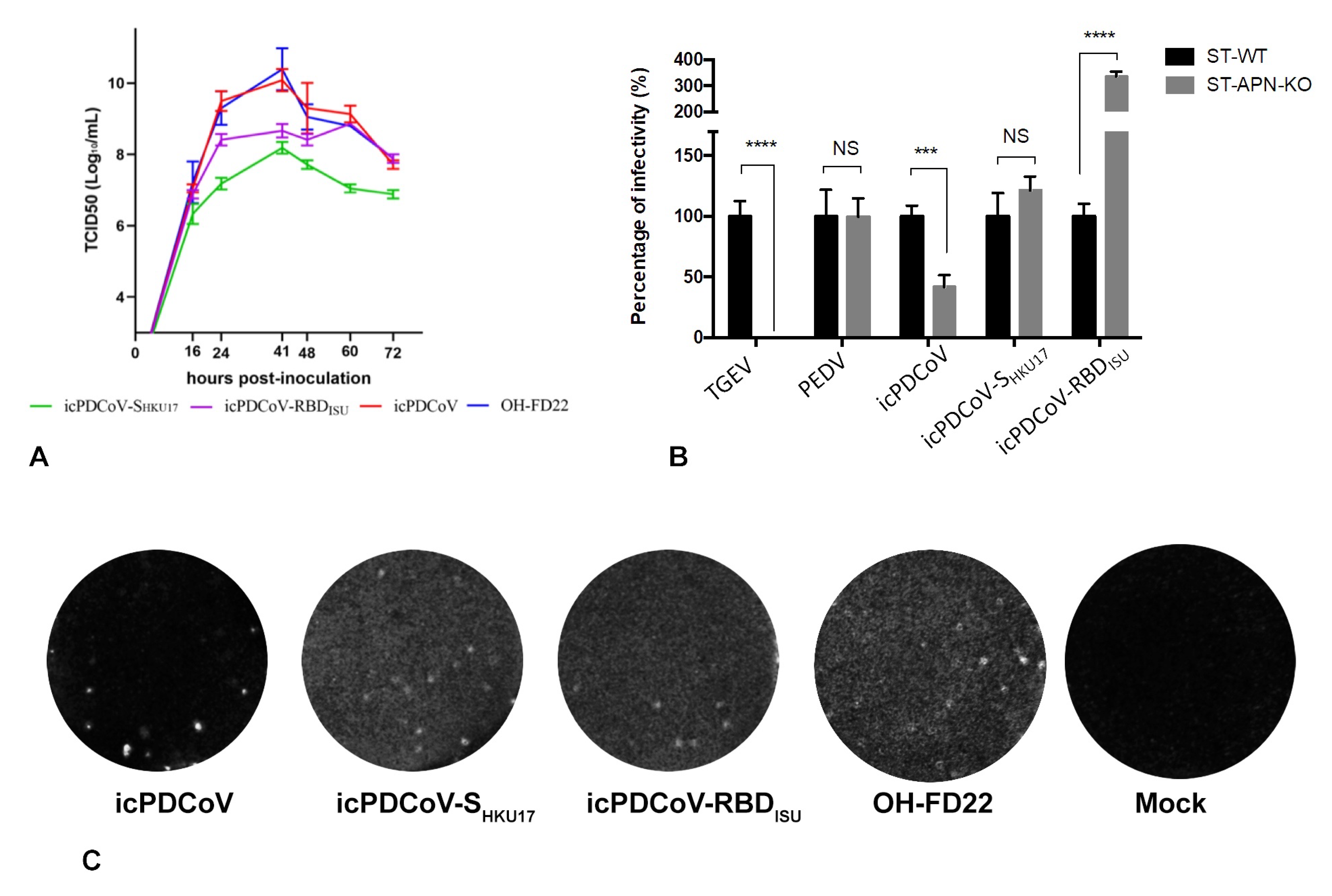 Viruses 13 00122 g003