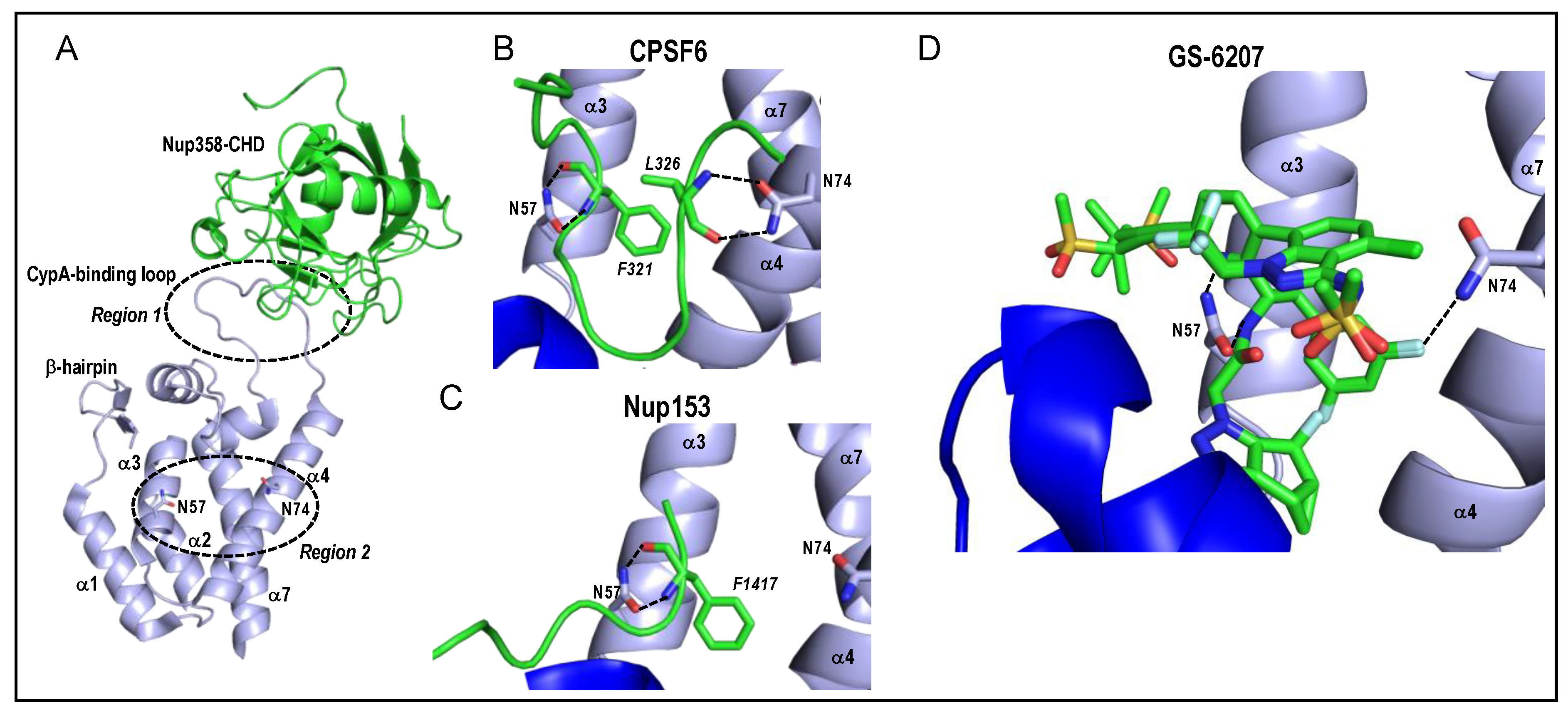Viruses 13 00125 g003 Viruses 13 00125 g003