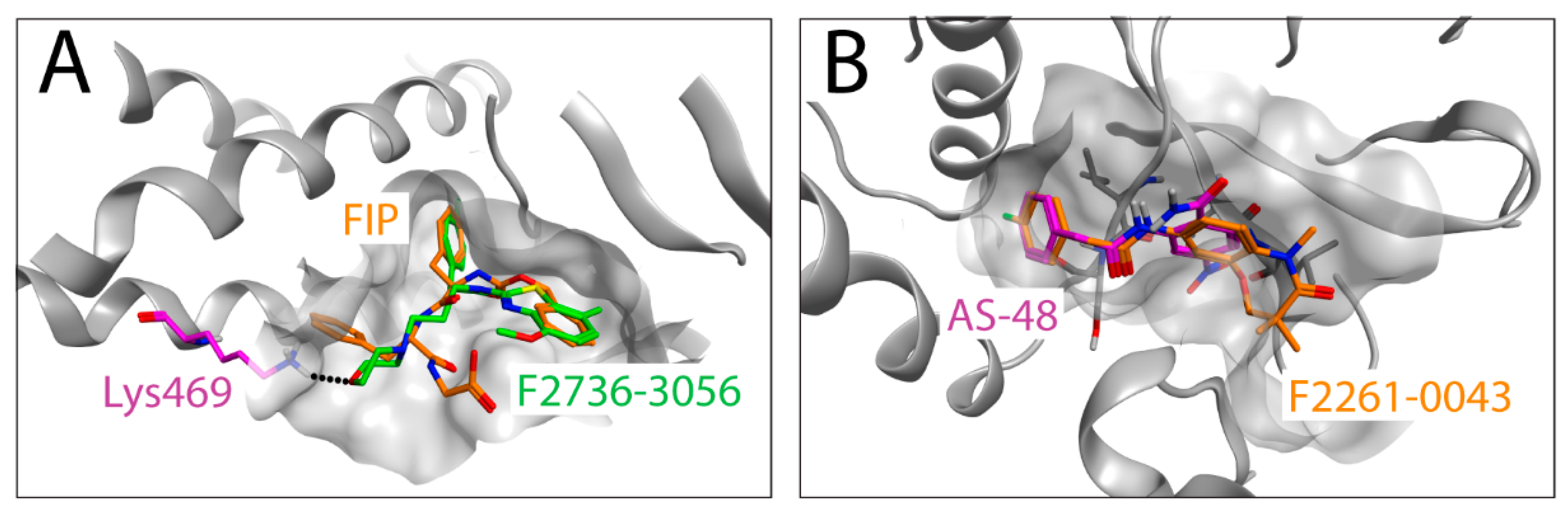 Viruses 13 00128 g005