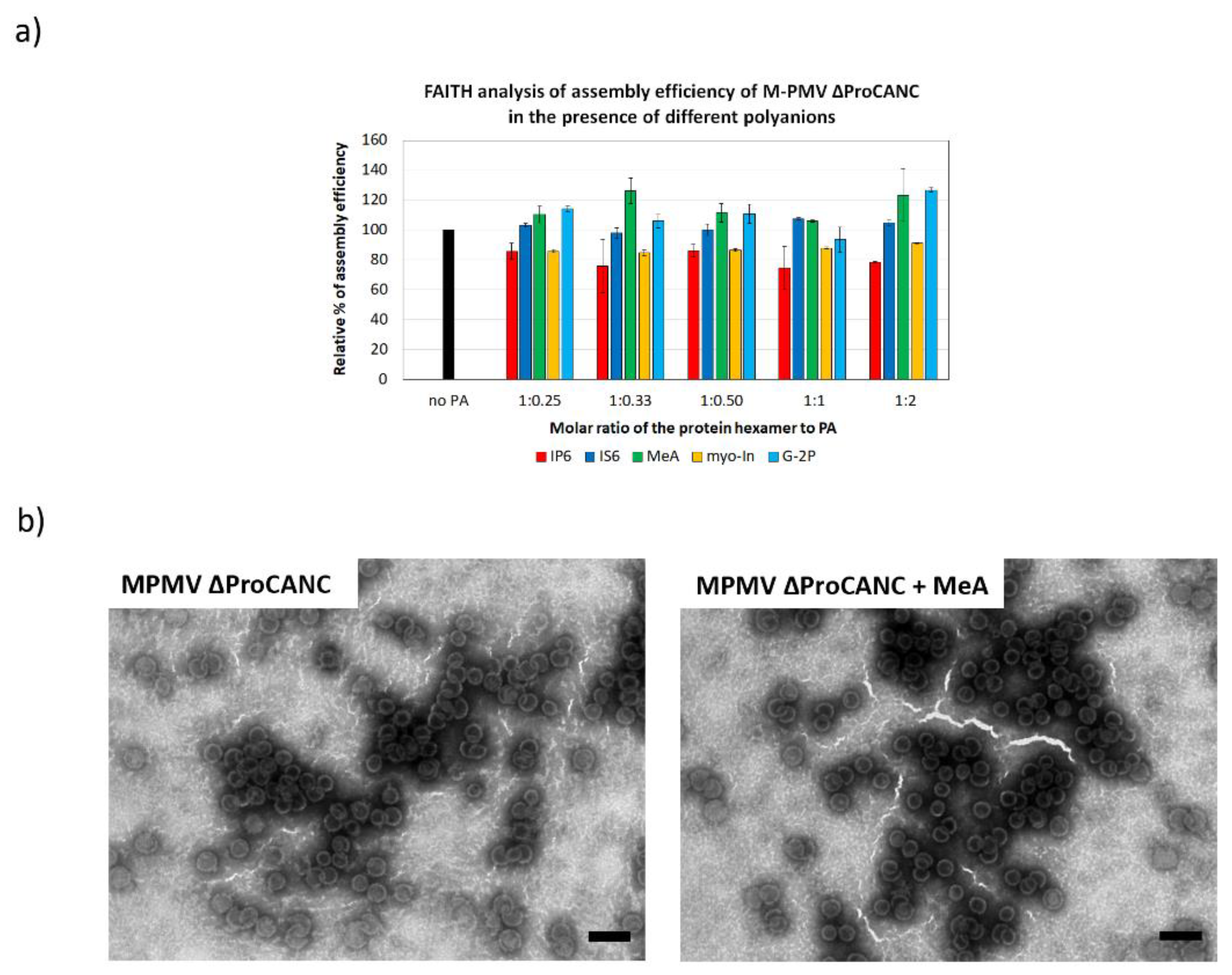 Viruses 13 00129 g004 Viruses 13 00129 g004