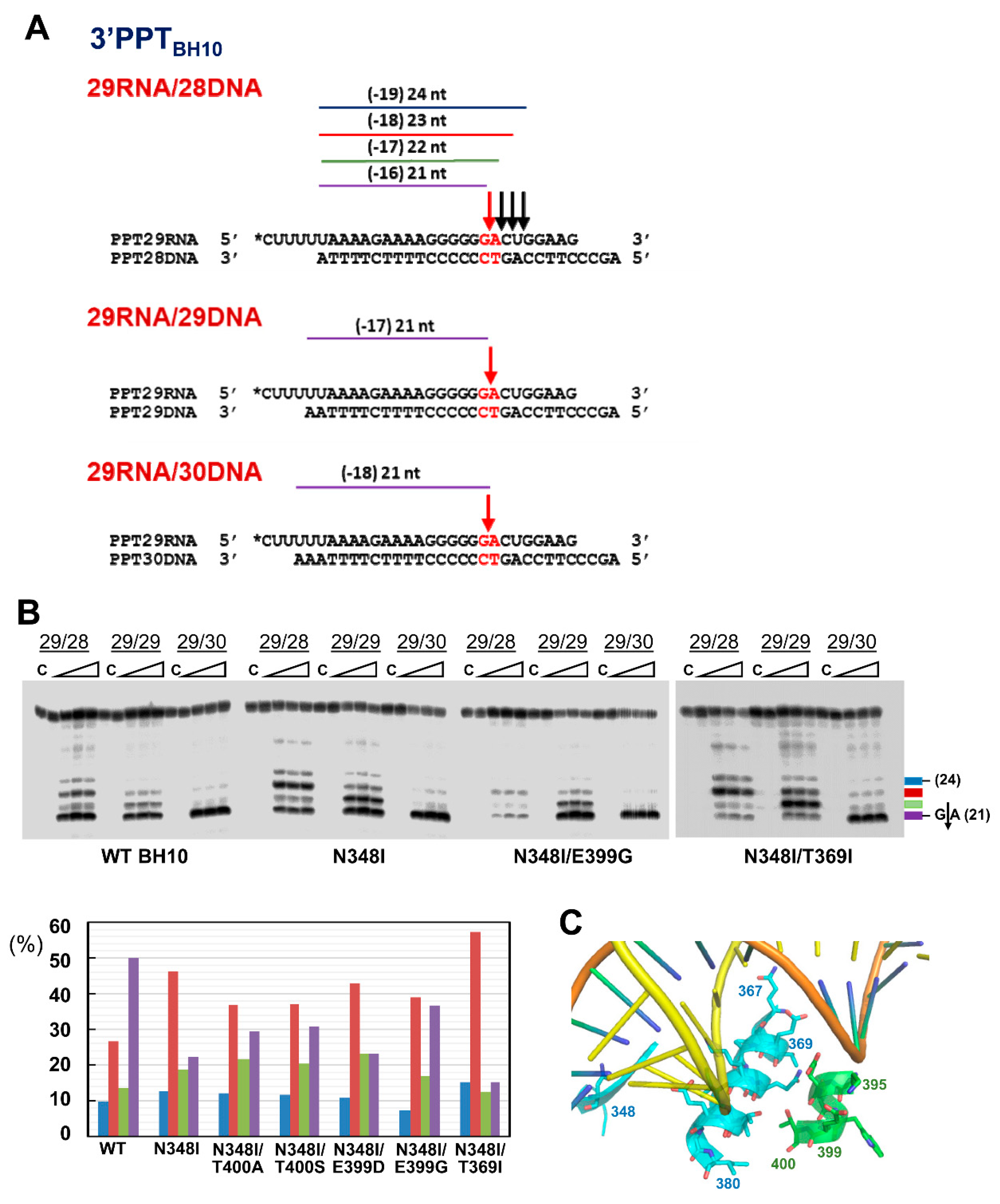Viruses 13 00131 g004 Viruses 13 00131 g004