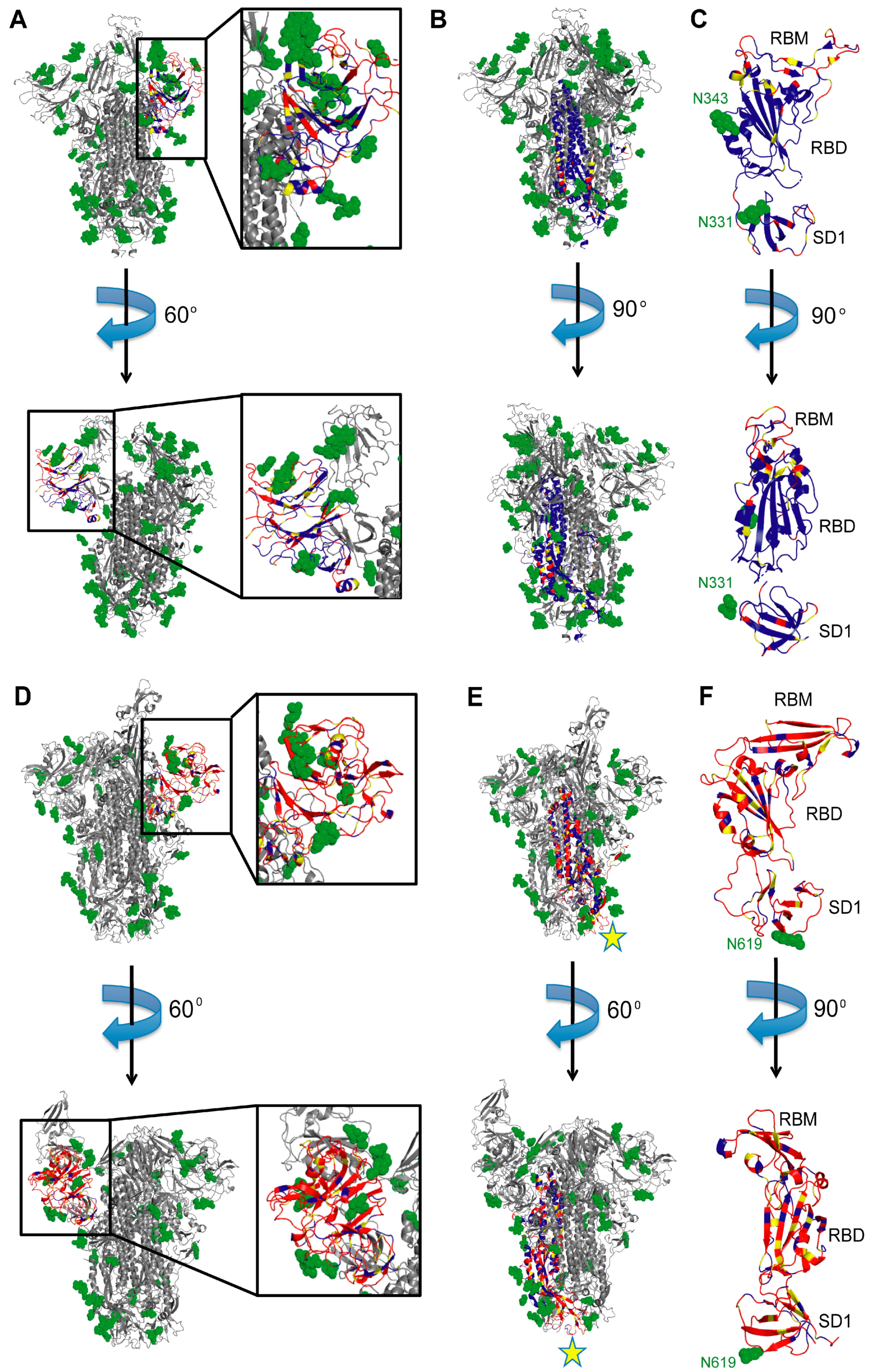 Viruses 13 00134 g004