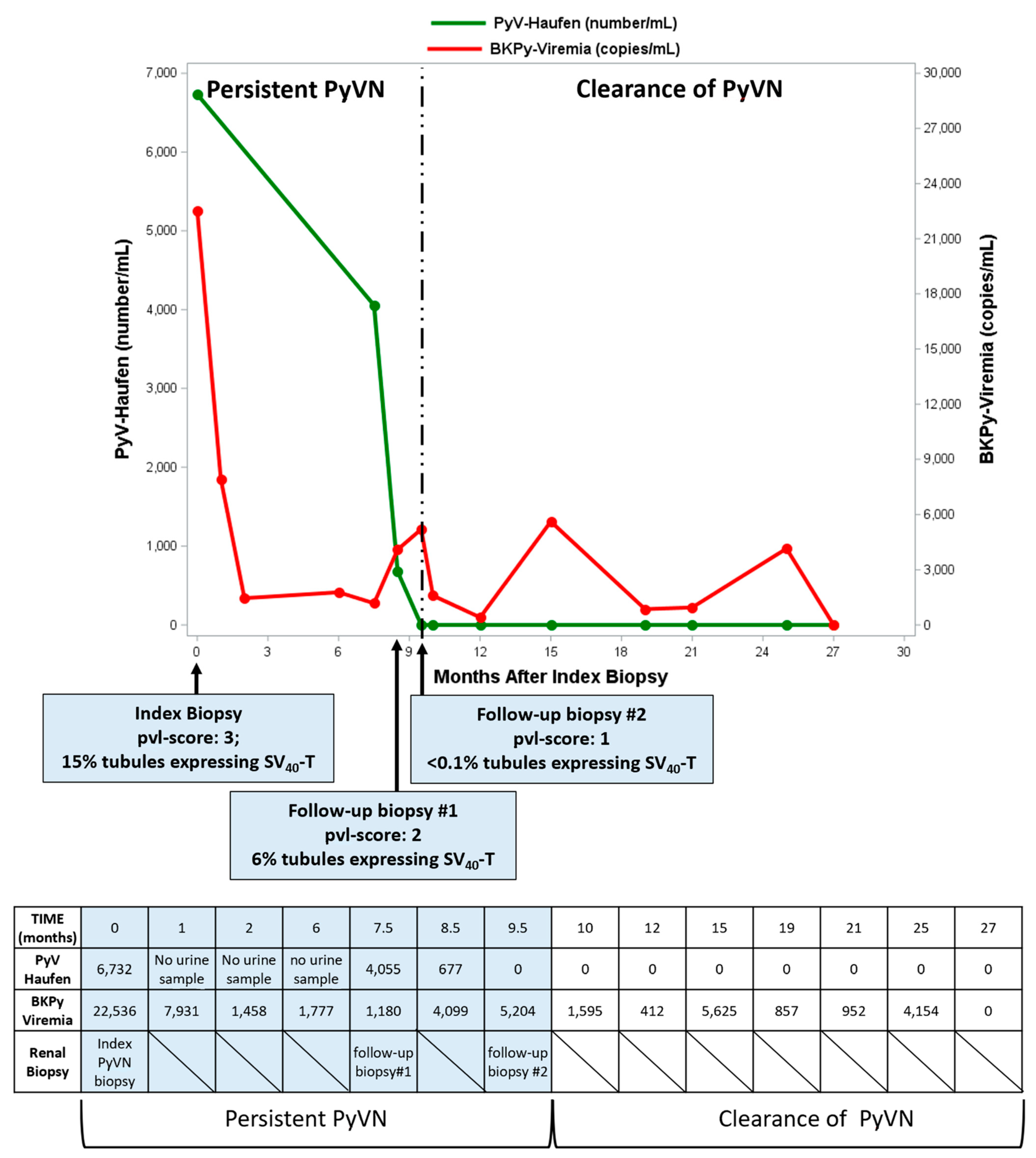 Viruses 13 00135 g008