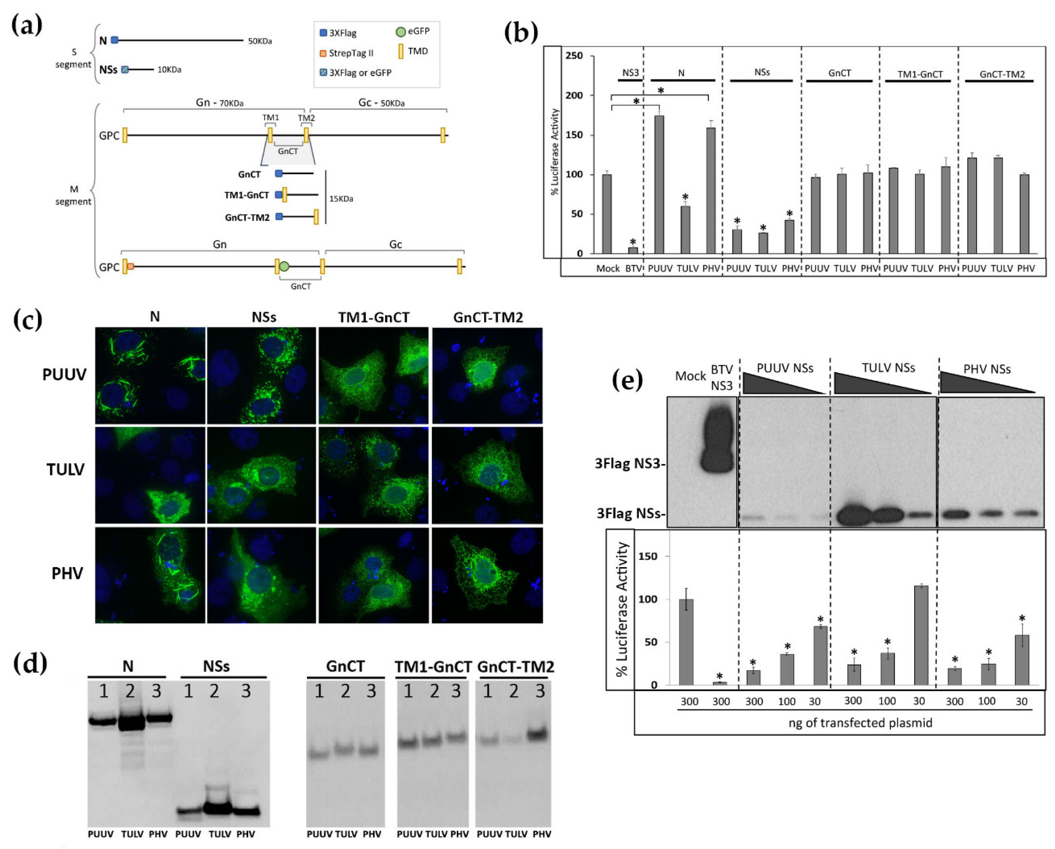 Viruses 13 00140 g001