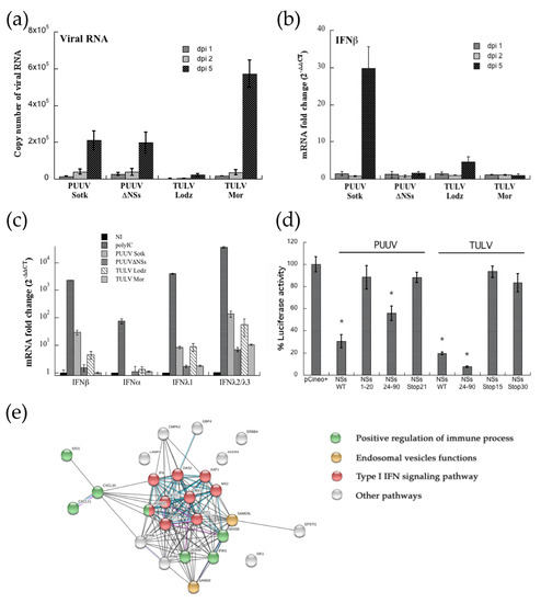 Viruses January 21 Browse Articles