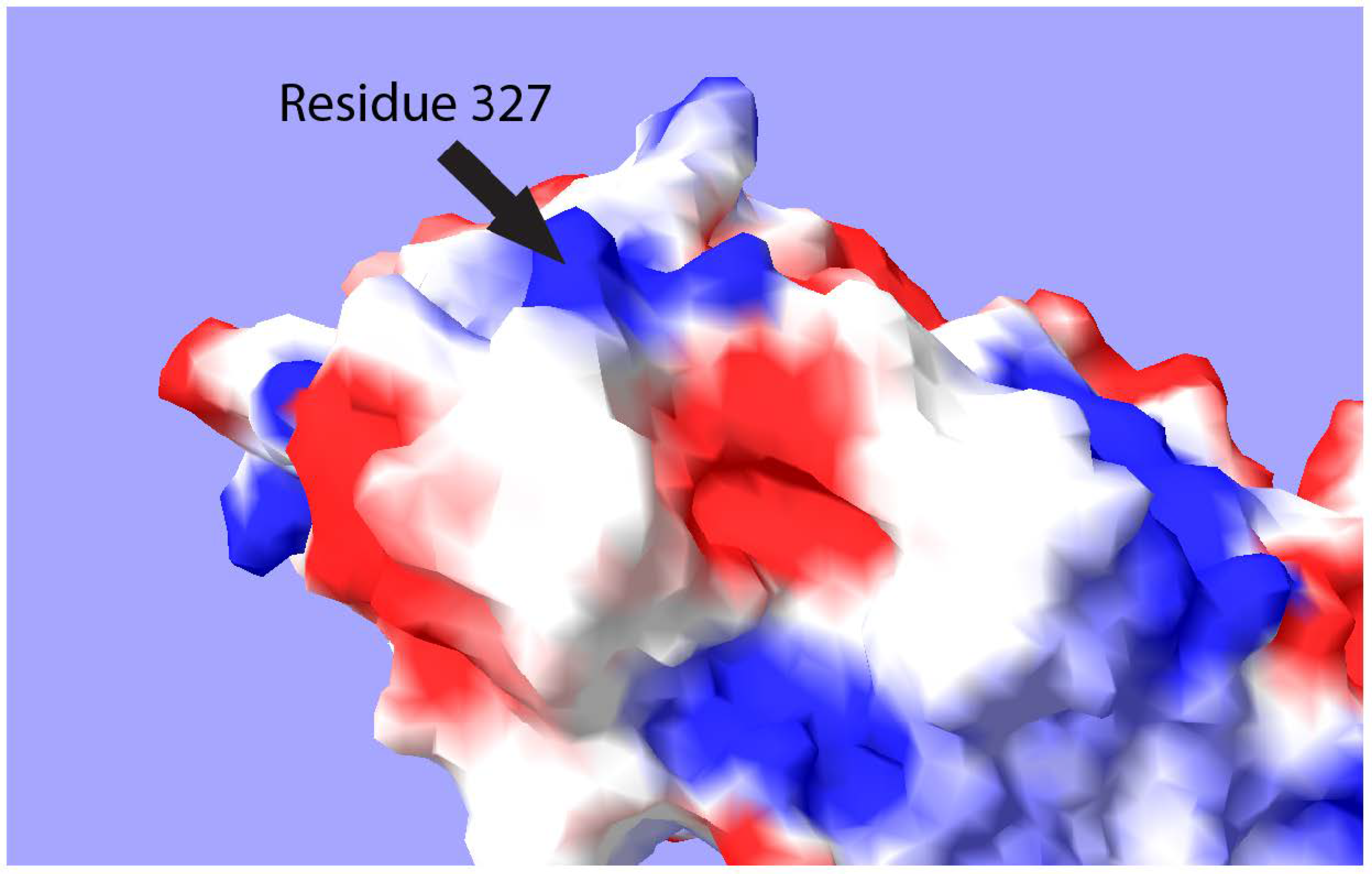 Viruses 13 00147 g002 Viruses 13 00147 g002