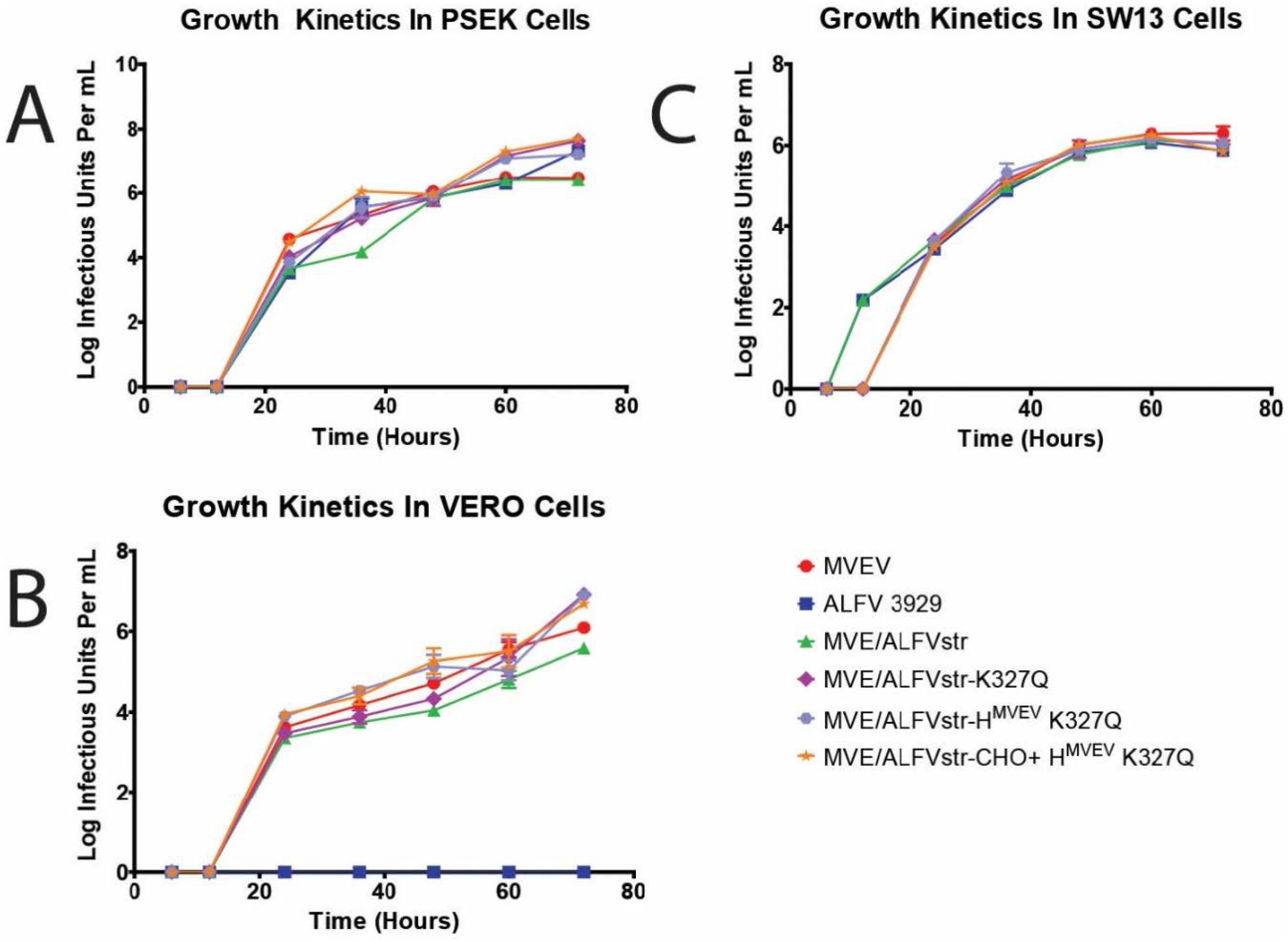 Viruses 13 00147 g003 Viruses 13 00147 g003