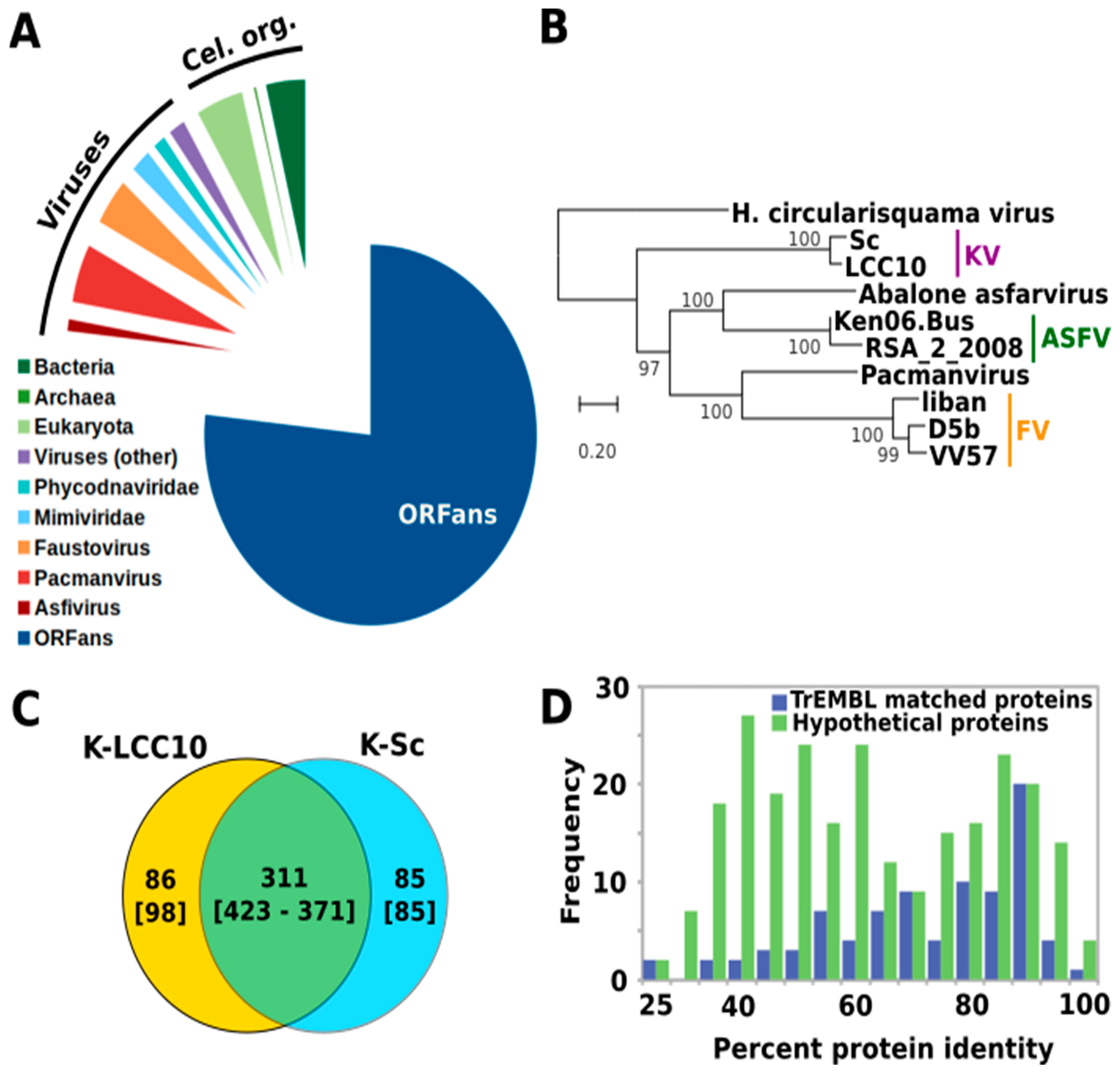 Viruses 13 00148 g003 Viruses 13 00148 g003