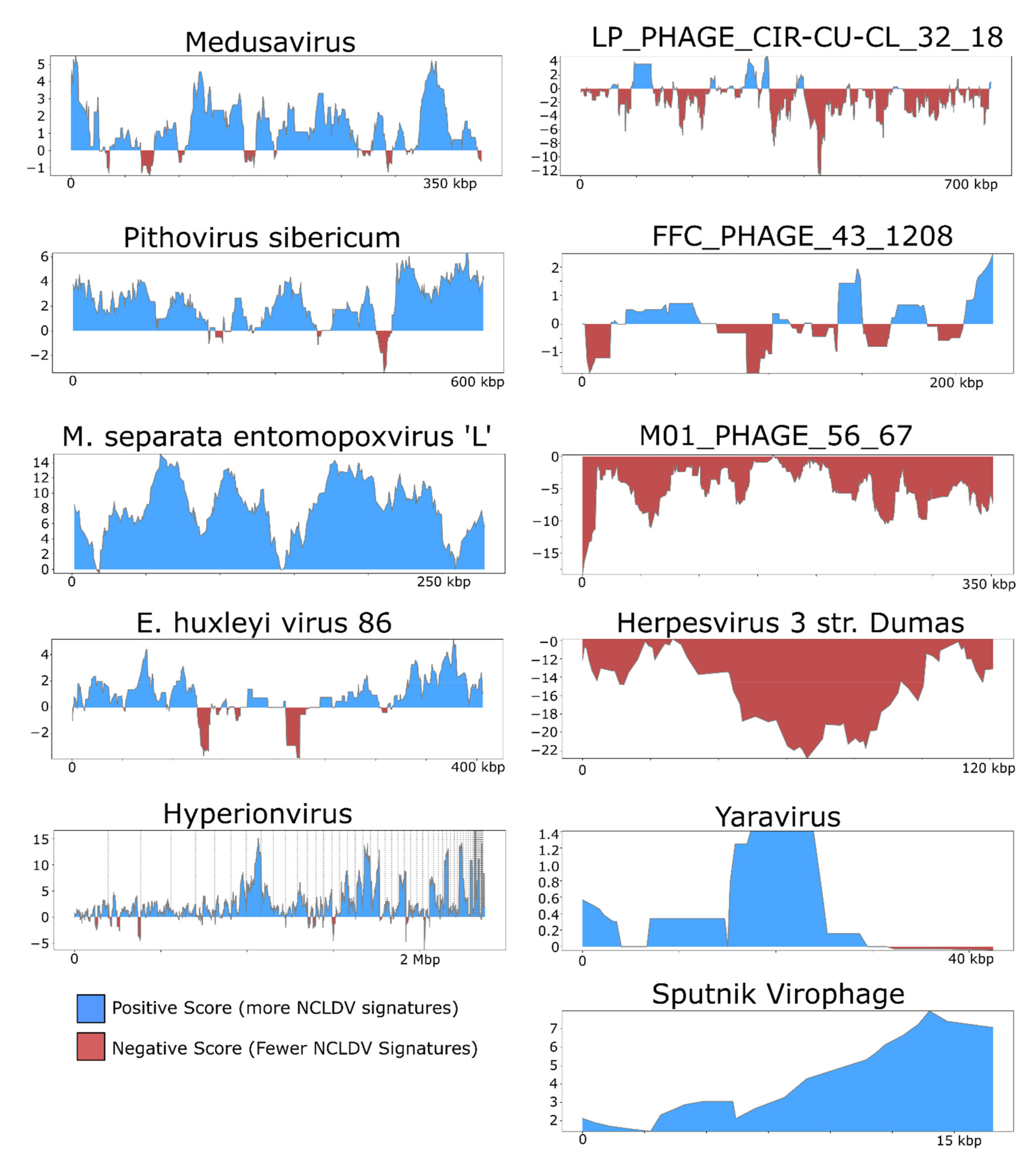Viruses 13 00150 g003