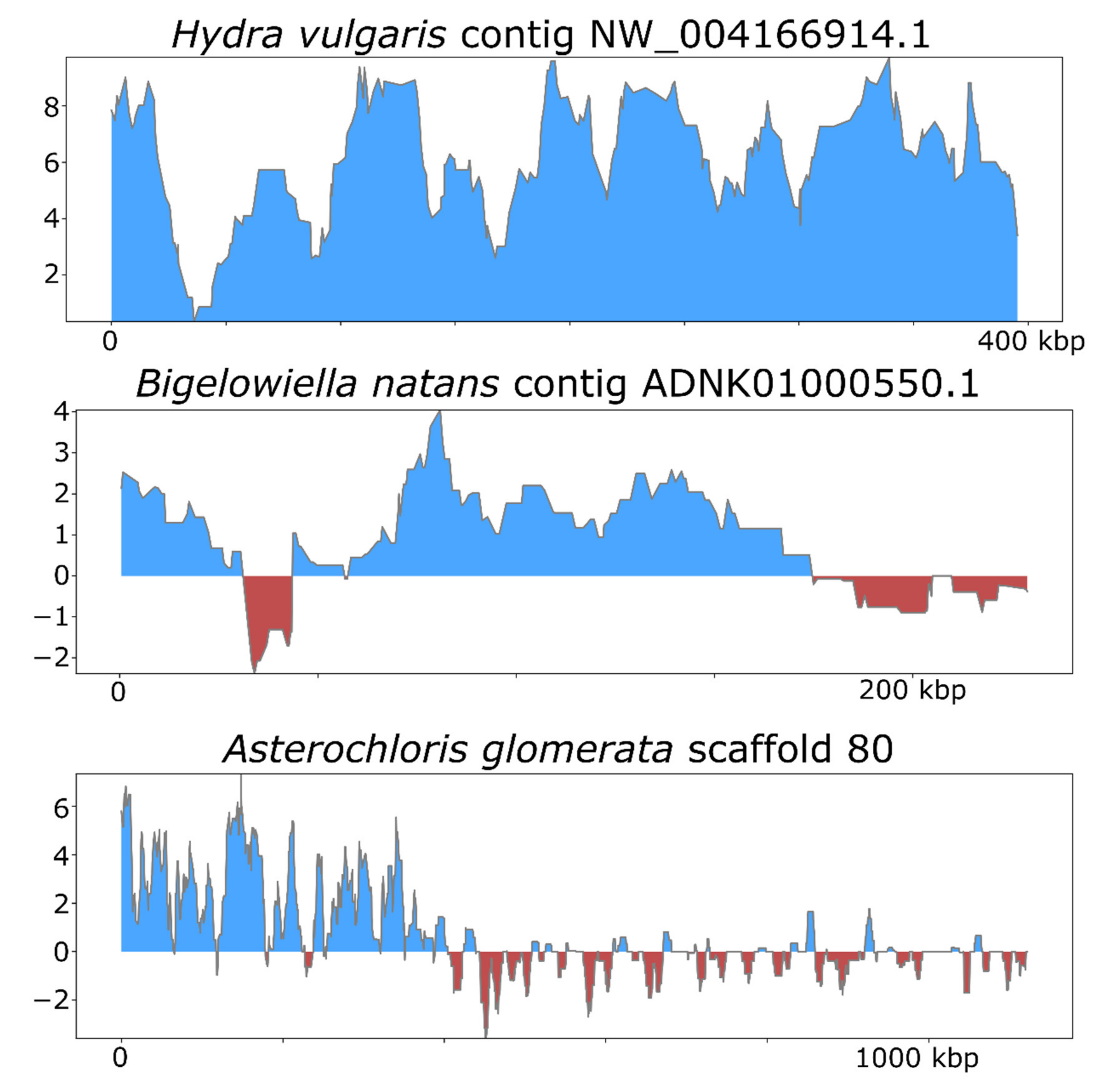 Viruses 13 00150 g005