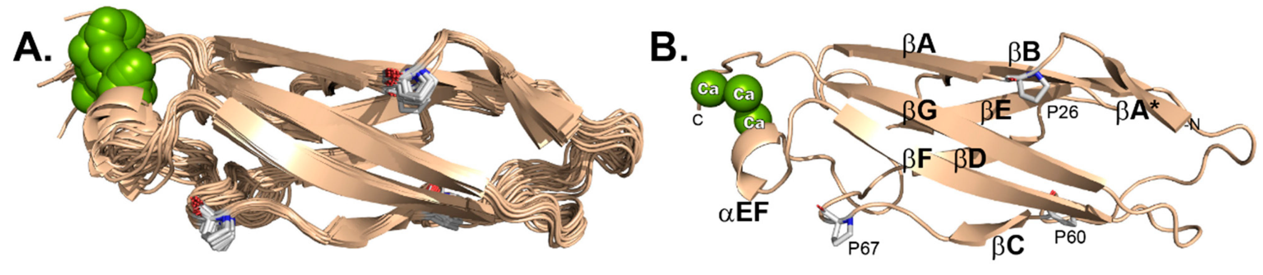 Viruses 13 00159 g003