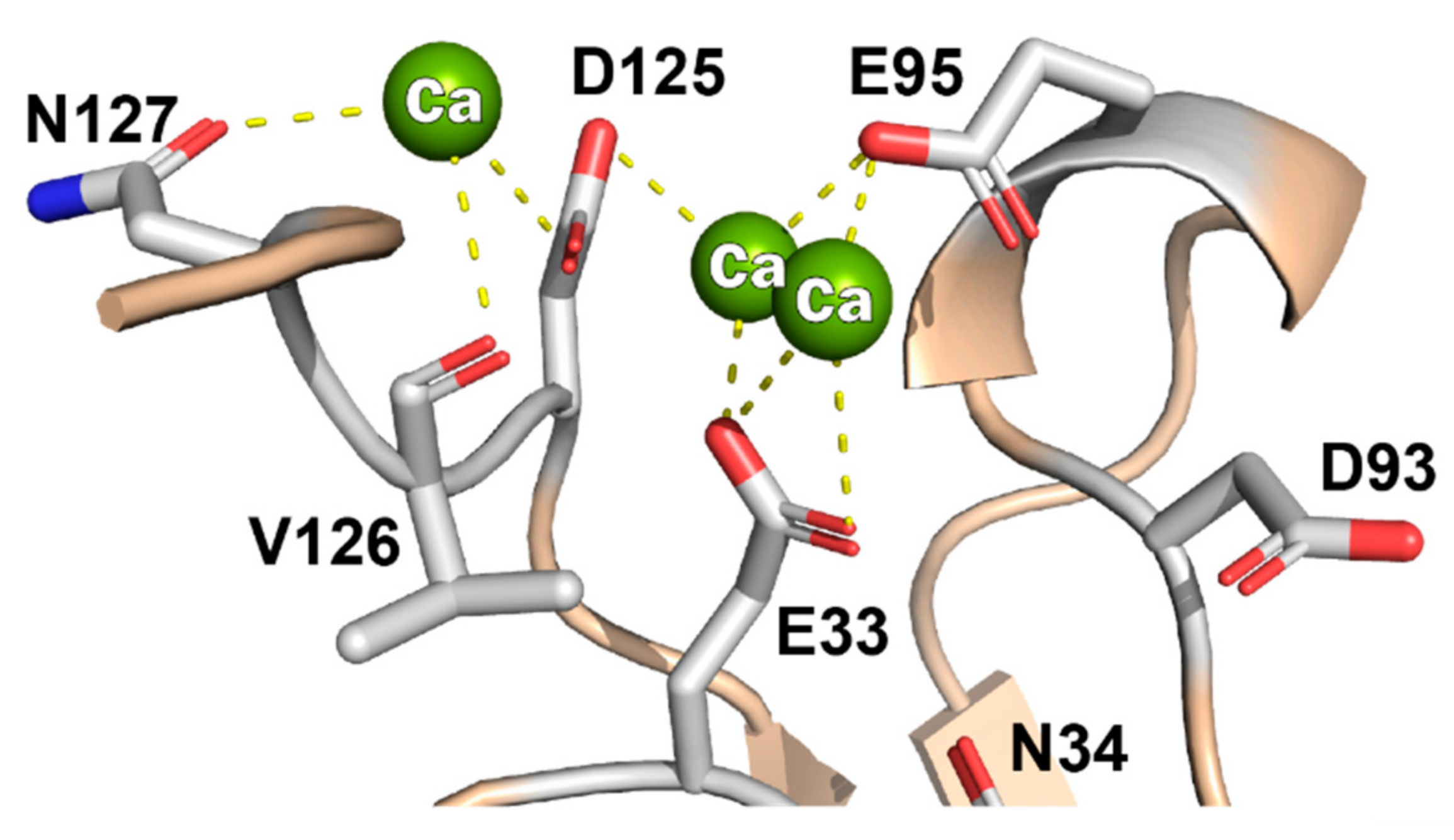 Viruses 13 00159 g004