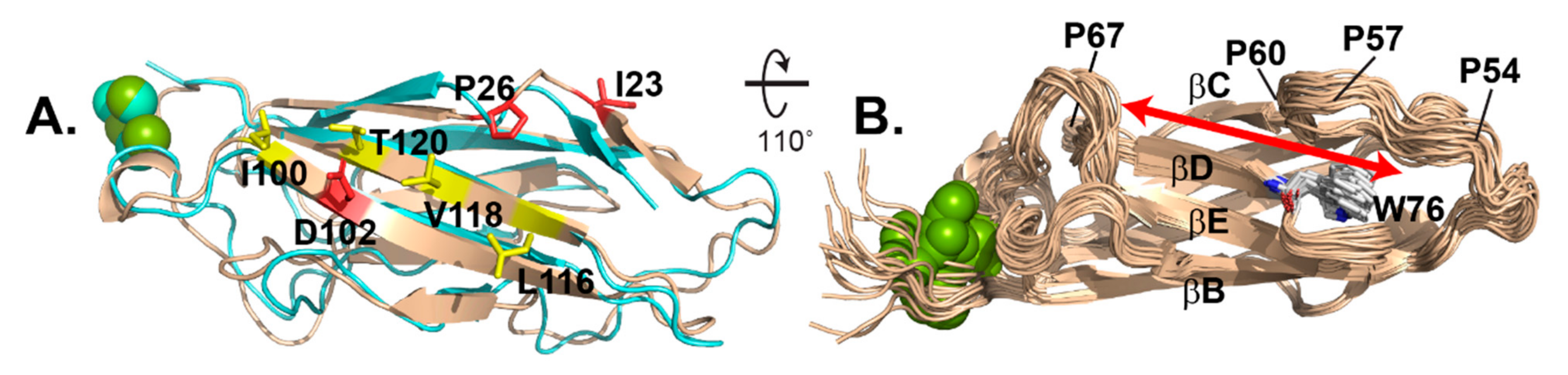 Viruses 13 00159 g005