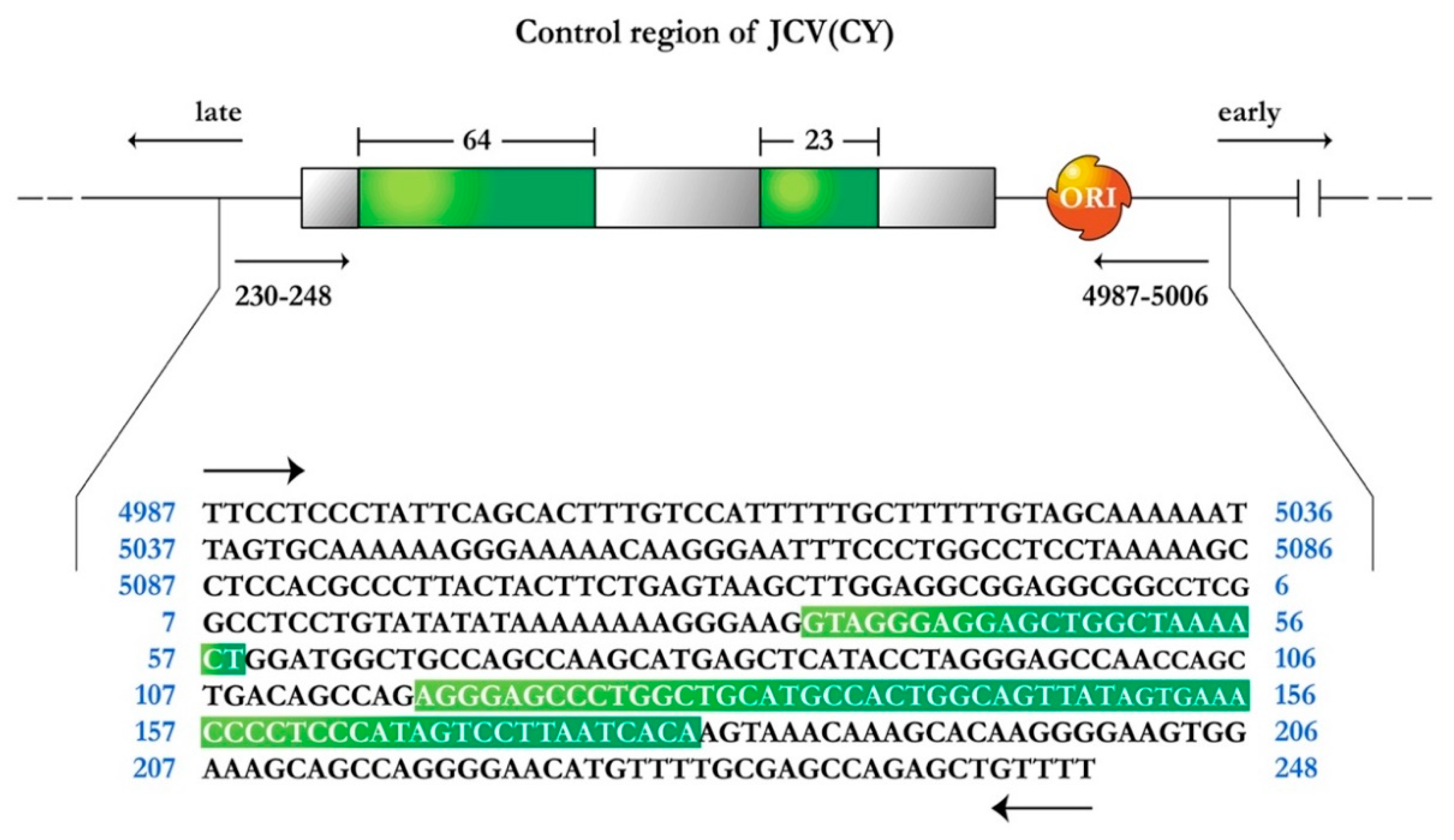 Viruses 13 00162 g001