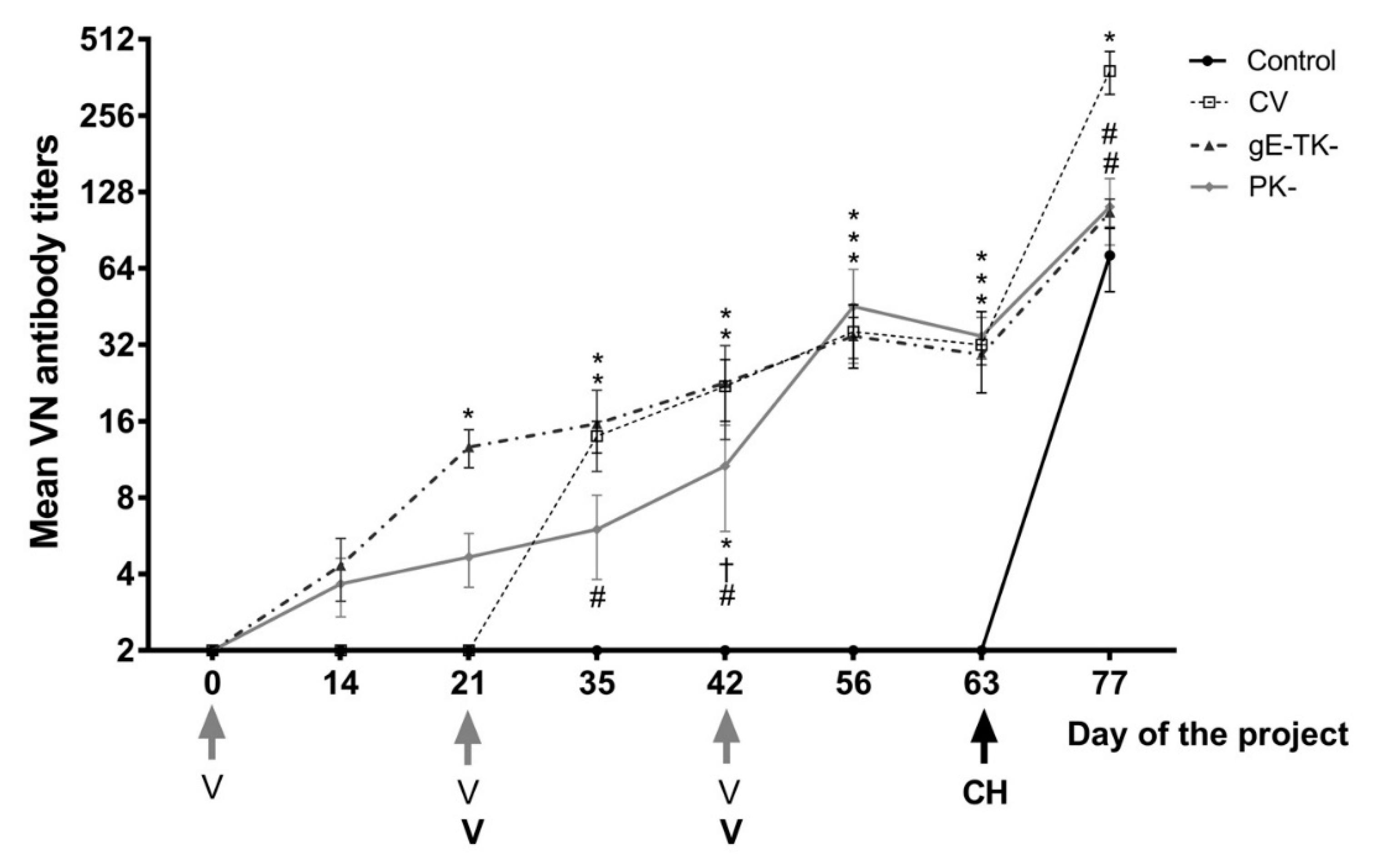 Viruses 13 00163 g004