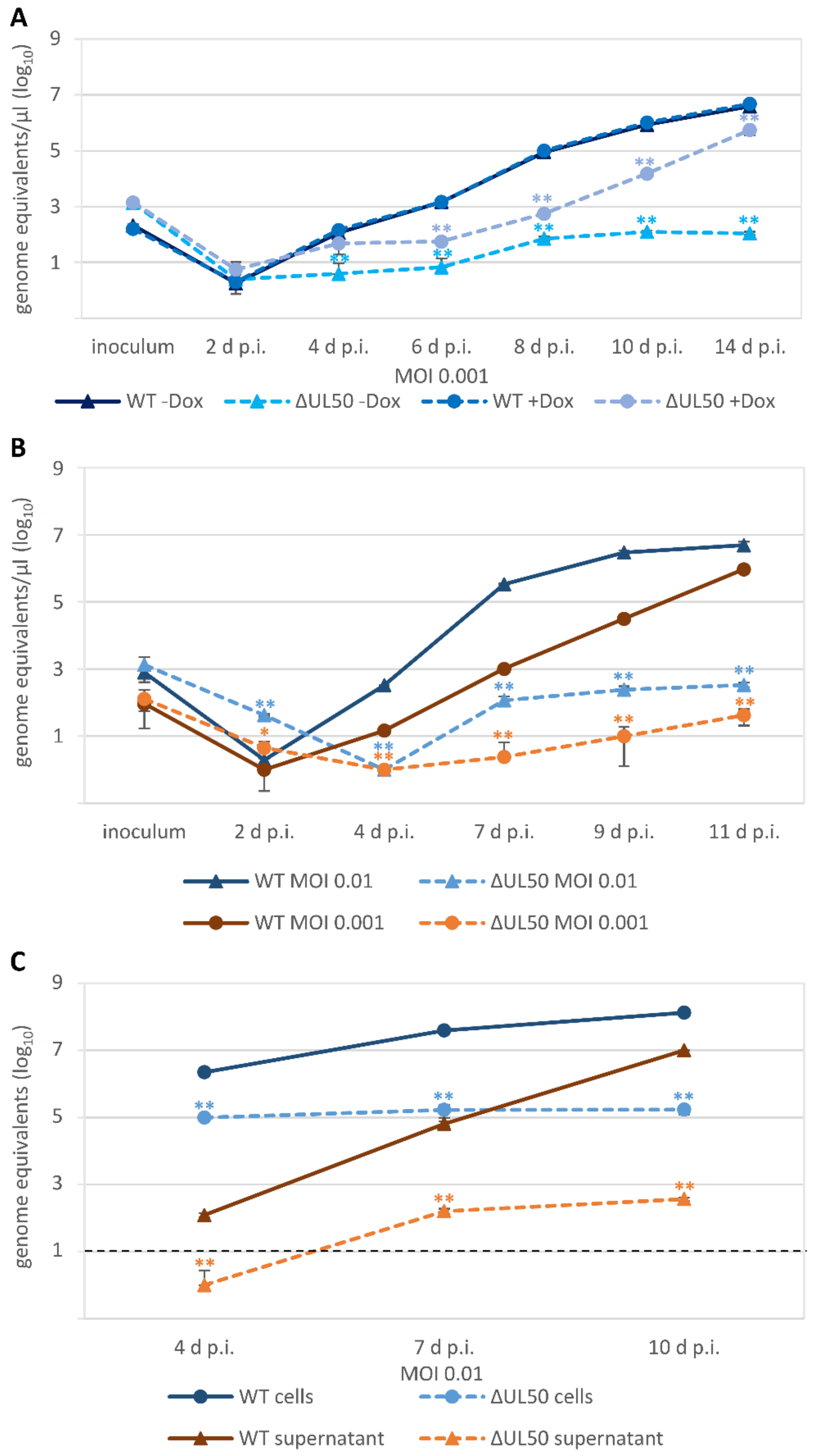 Viruses 13 00165 g005 Viruses 13 00165 g005