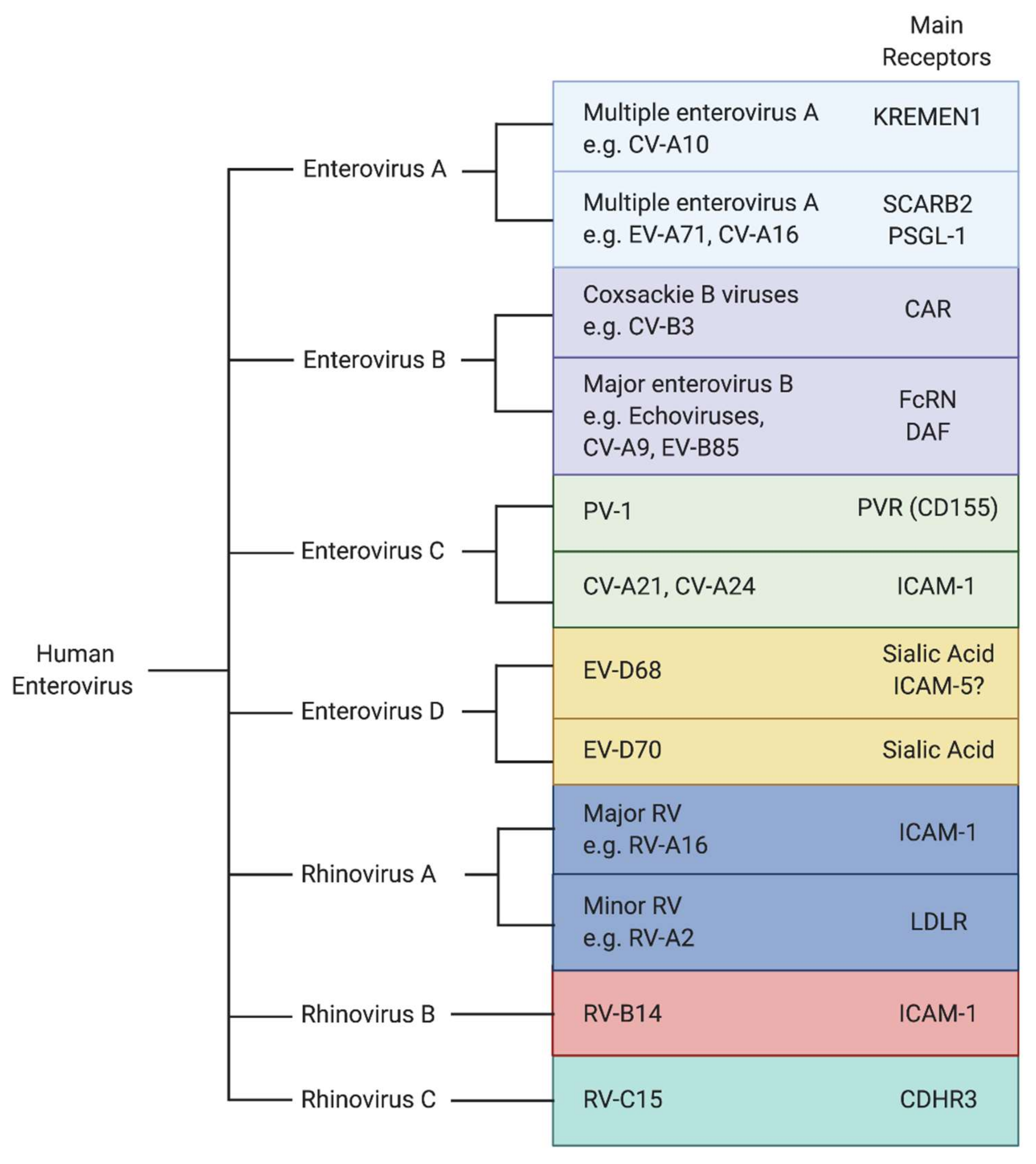 Viruses 13 00166 g001