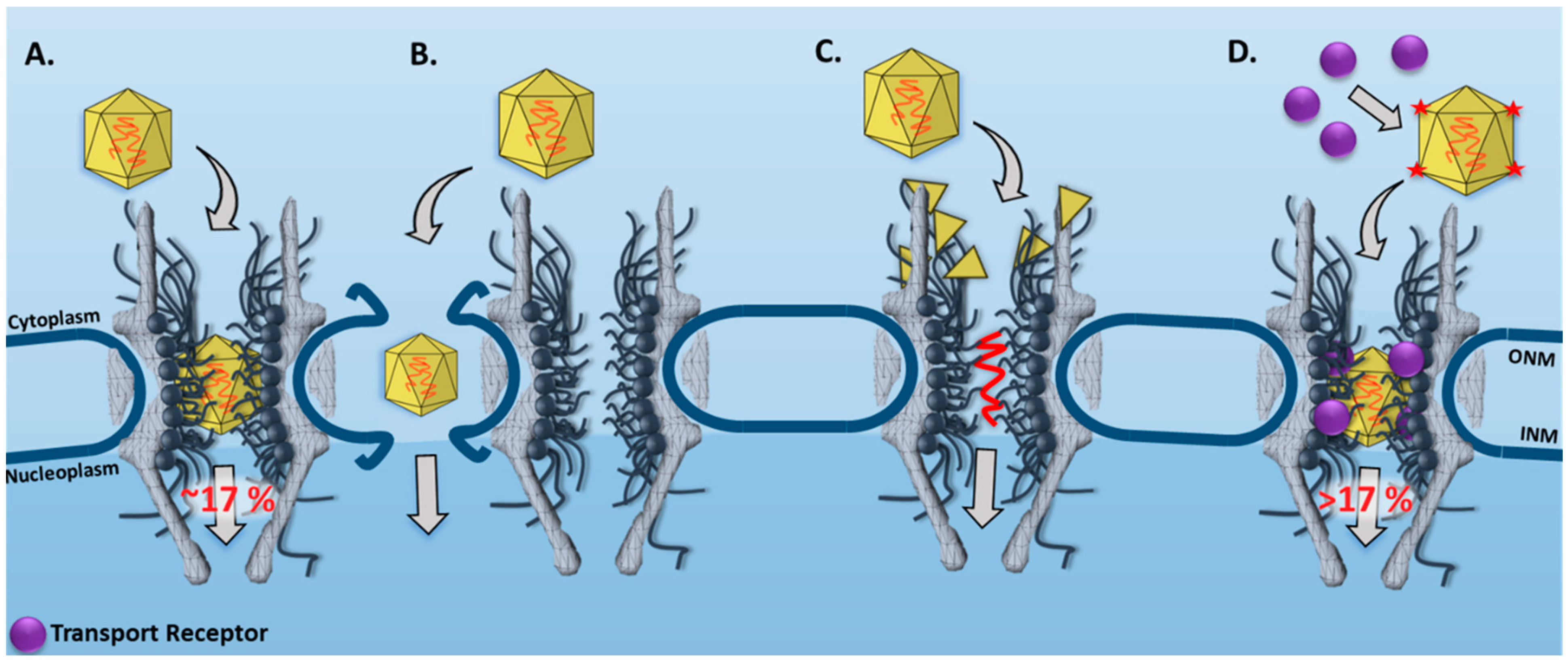 Viruses 13 00167 g003