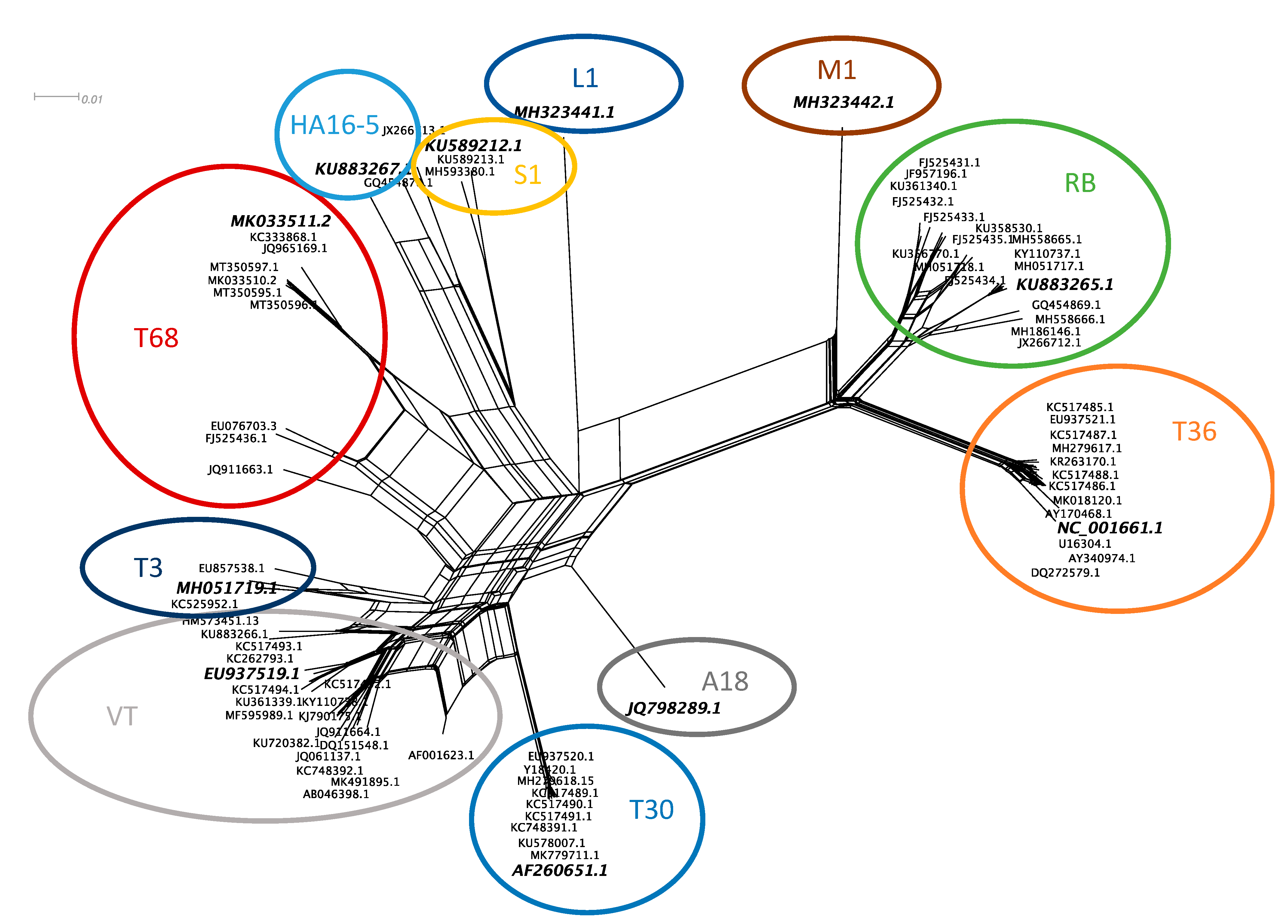 Viruses 13 00168 g001 Viruses 13 00168 g001