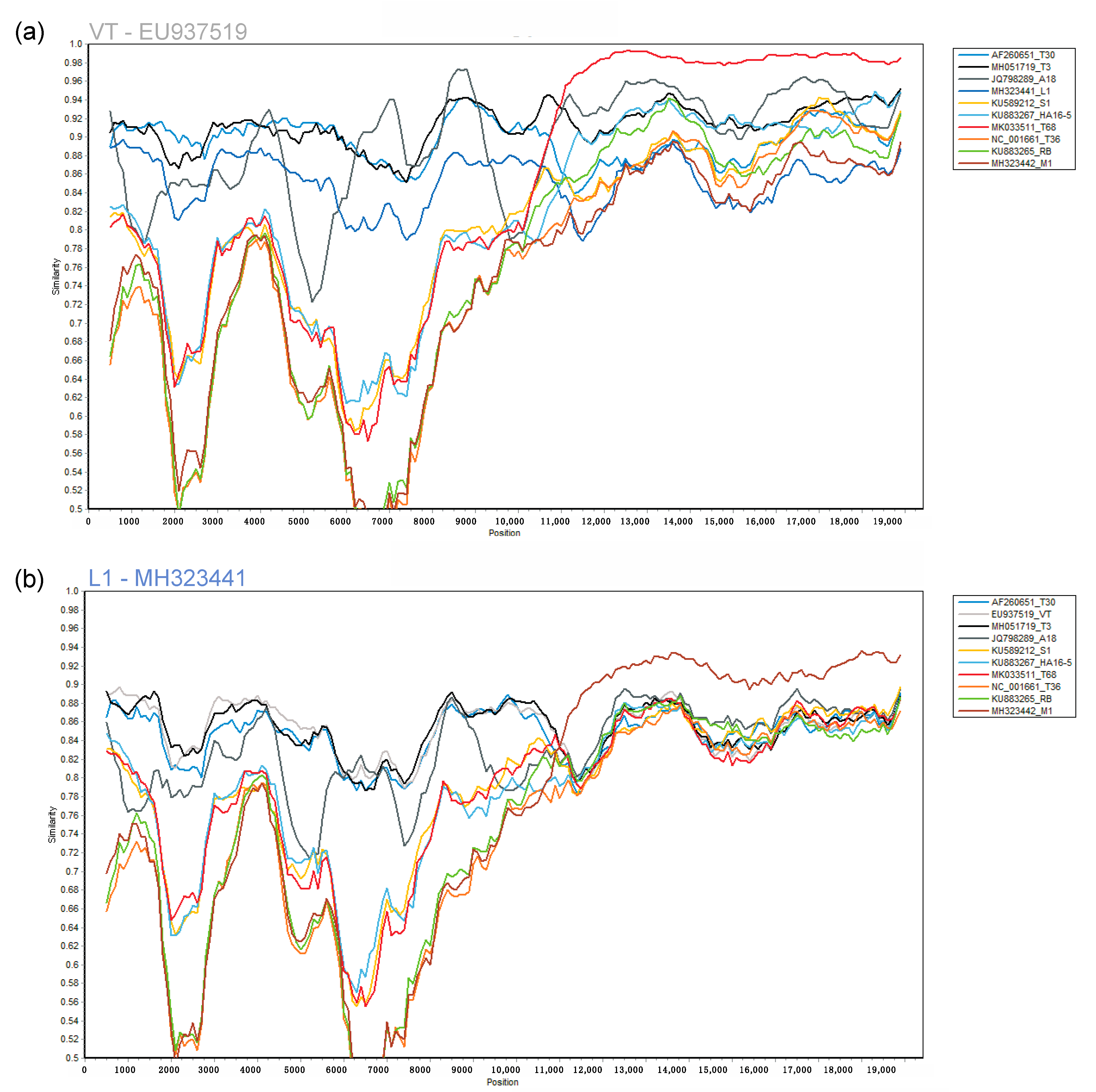 Viruses 13 00168 g002 Viruses 13 00168 g002