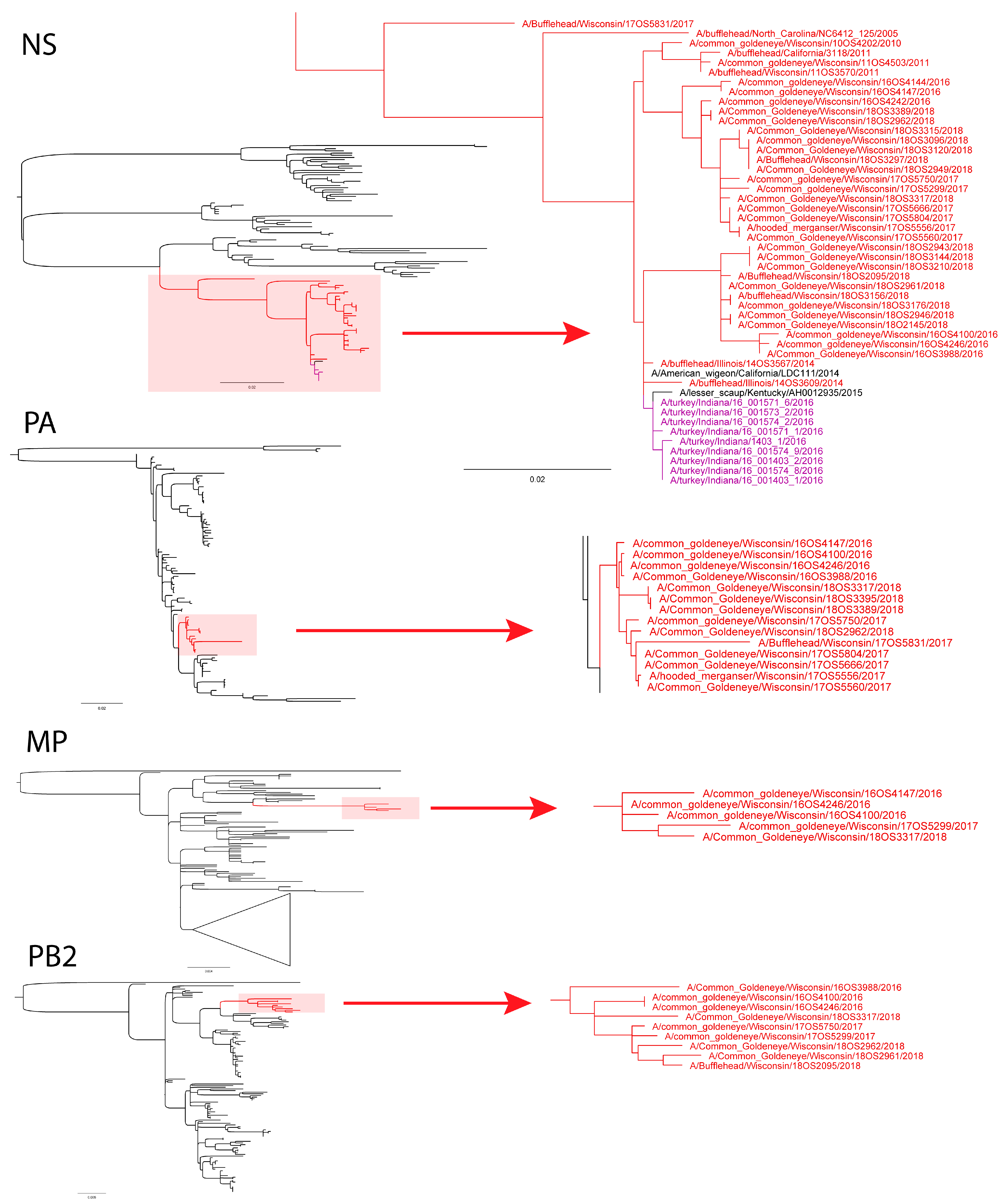 Viruses 13 00172 g001 Viruses 13 00172 g001