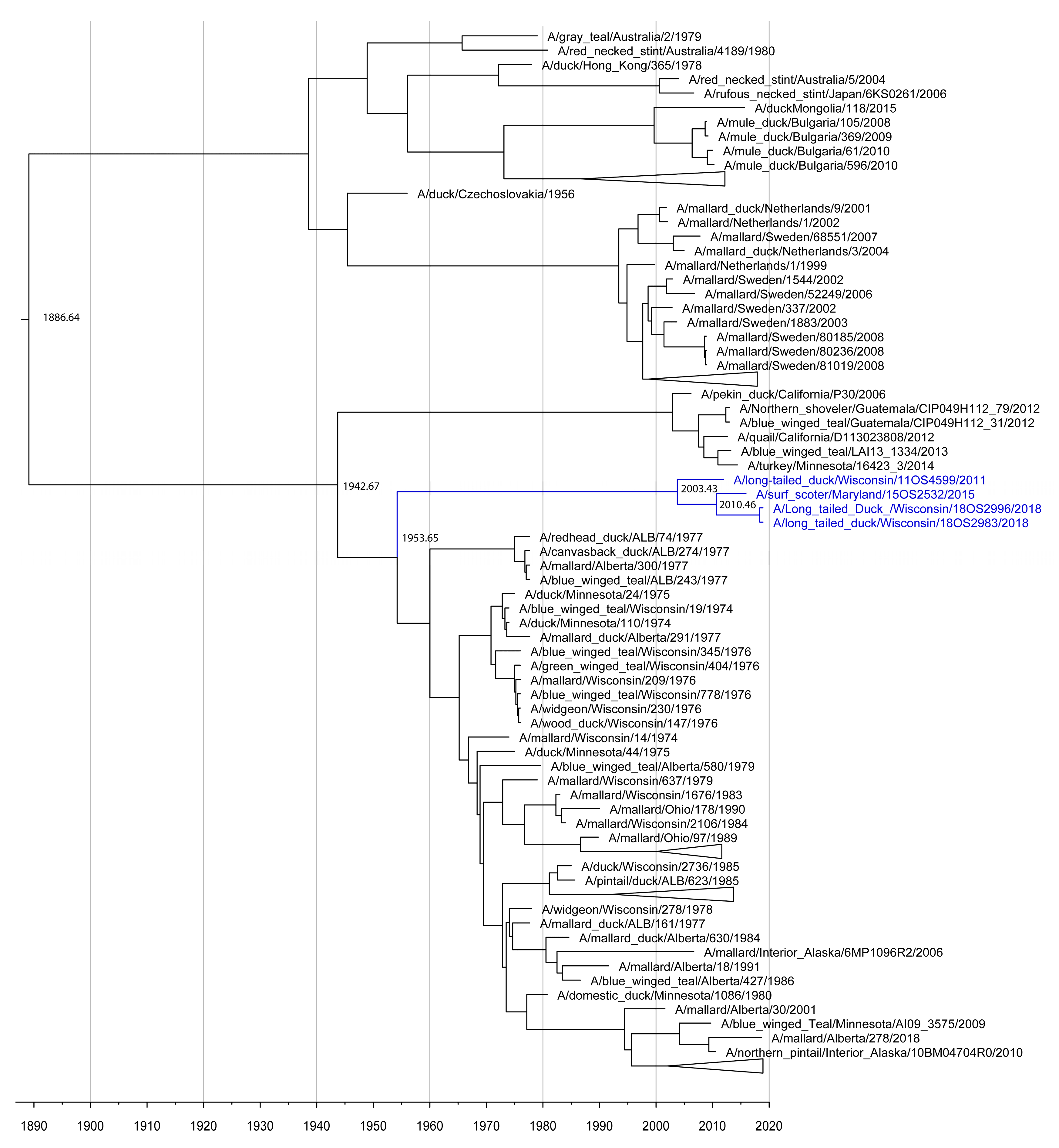 Viruses 13 00172 g003 Viruses 13 00172 g003