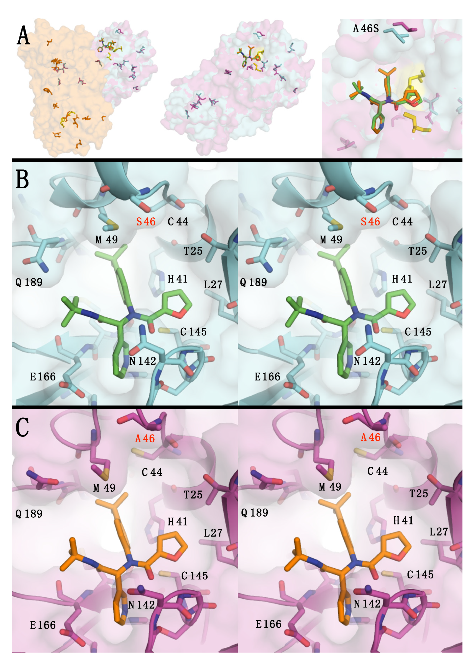 Viruses 13 00174 g003