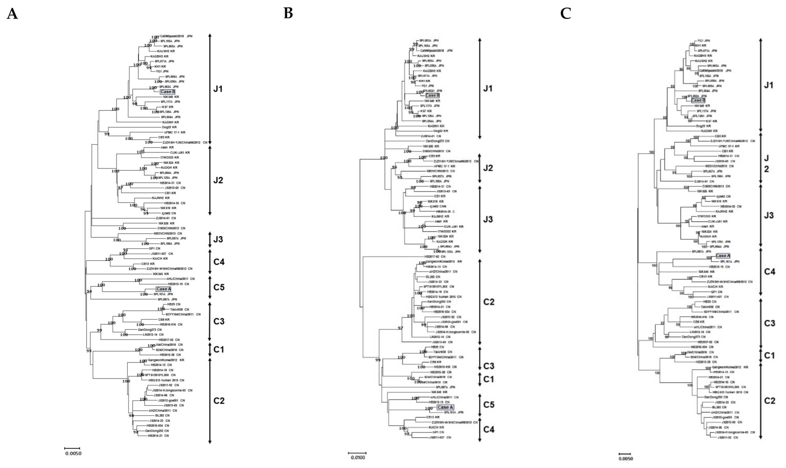 Viruses 13 00177 g001 Viruses 13 00177 g001