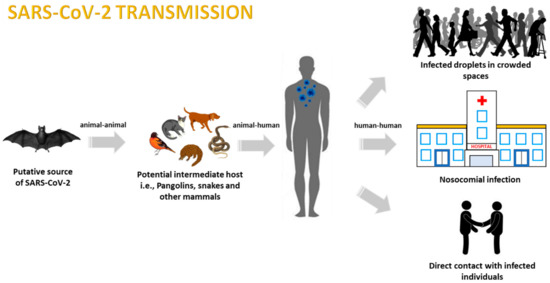 Featured image of post Mdpi Viruses Impact Factor Virus research provides a means of rapid publication for original papers on fundamental research concerning virus structure replication and pathogenesis