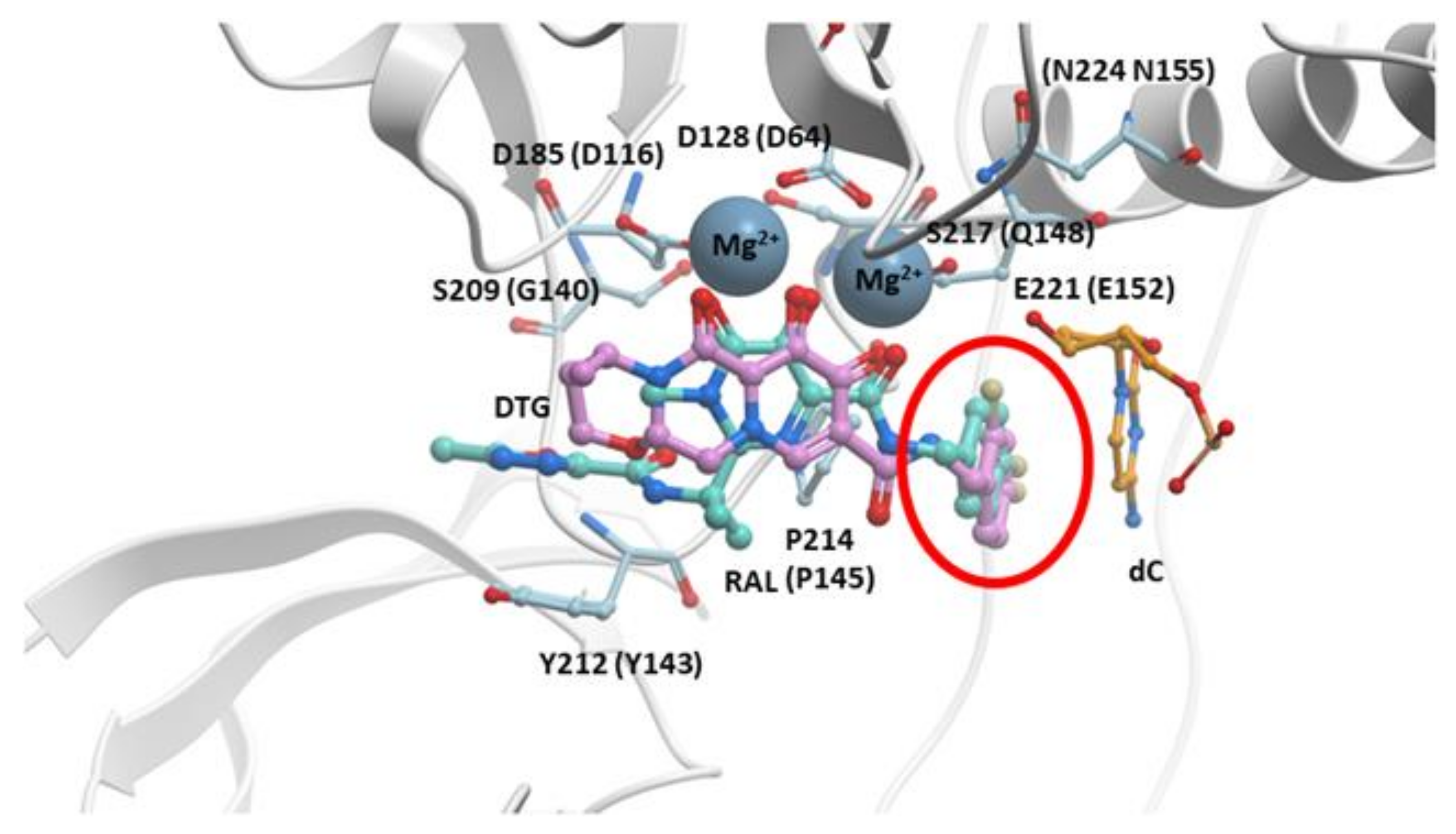 Viruses 13 00205 g004