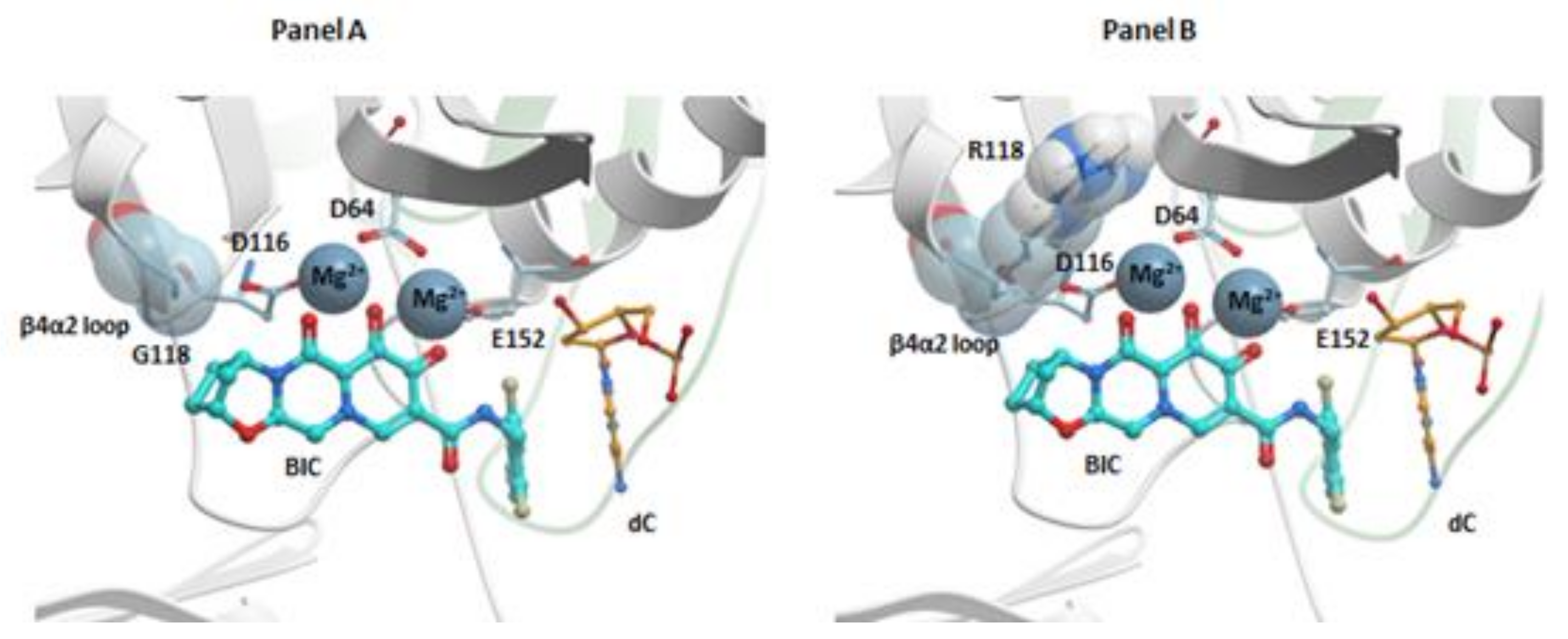 Viruses 13 00205 g005