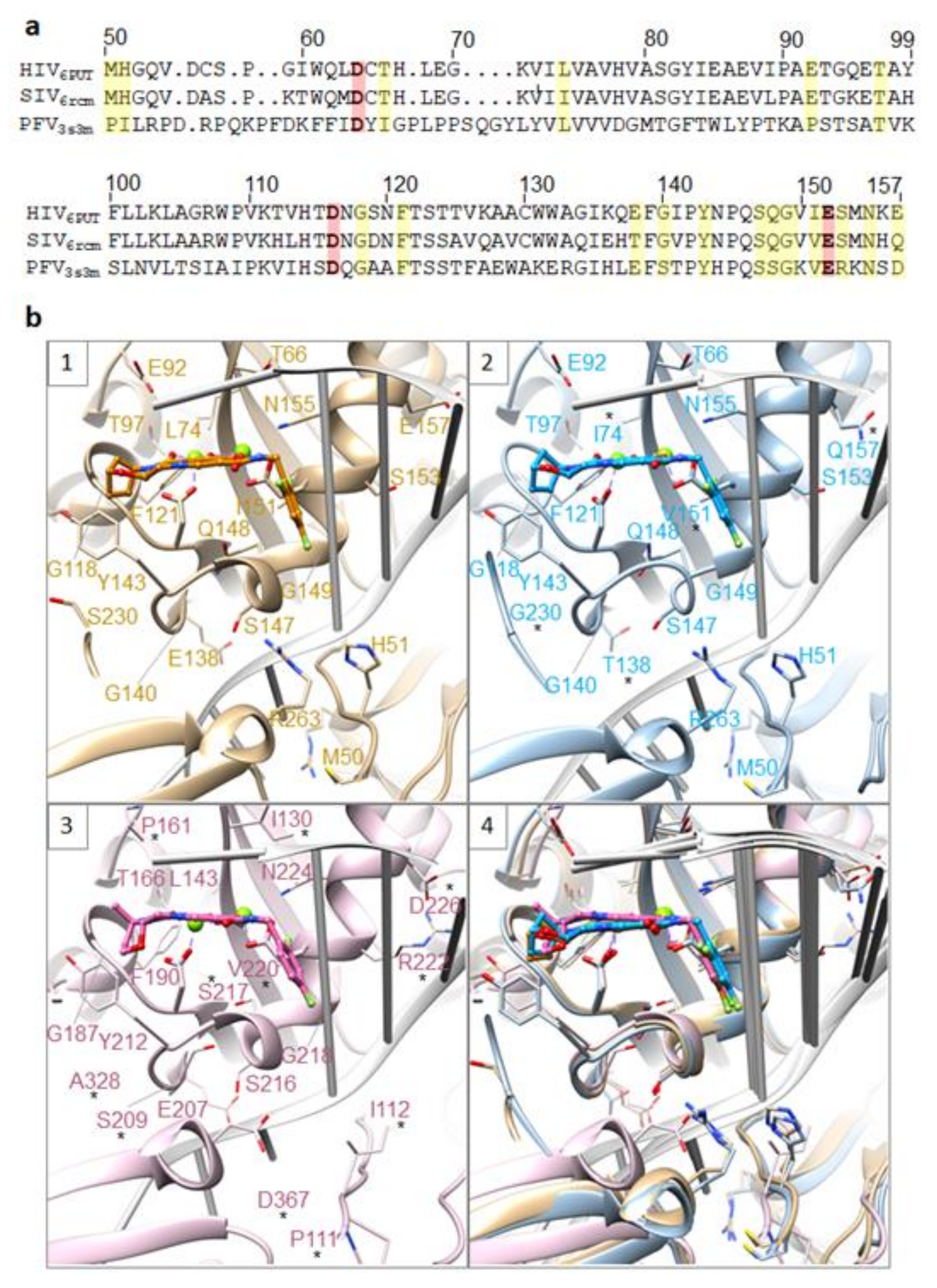 Viruses 13 00205 g007