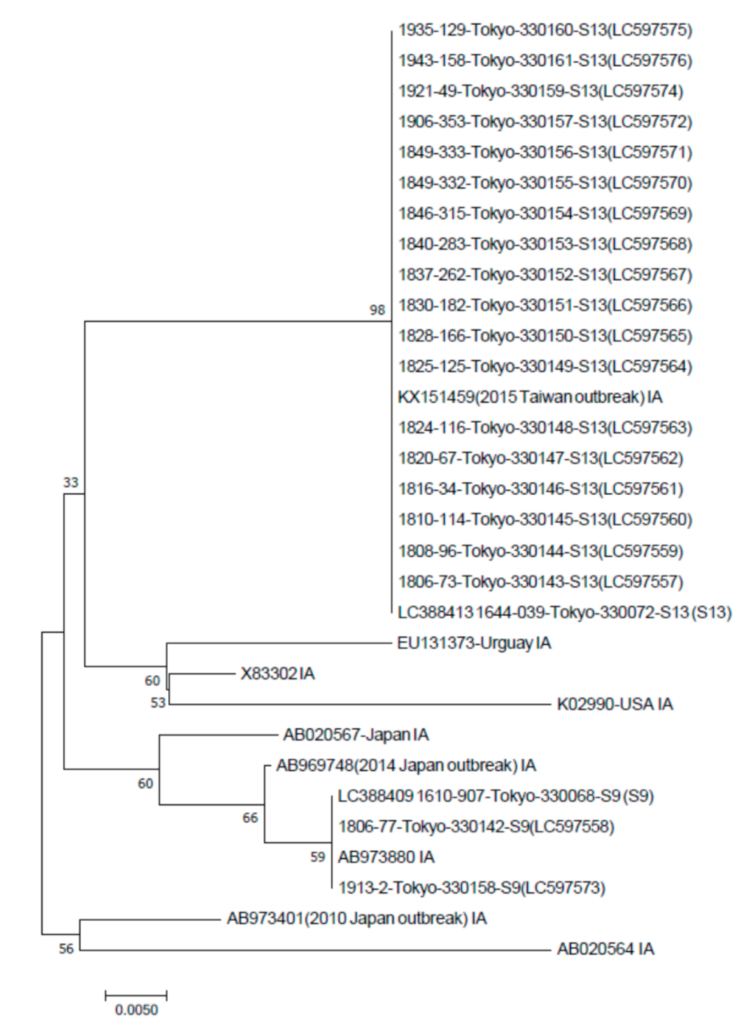Viruses 13 00207 g001 Viruses 13 00207 g001