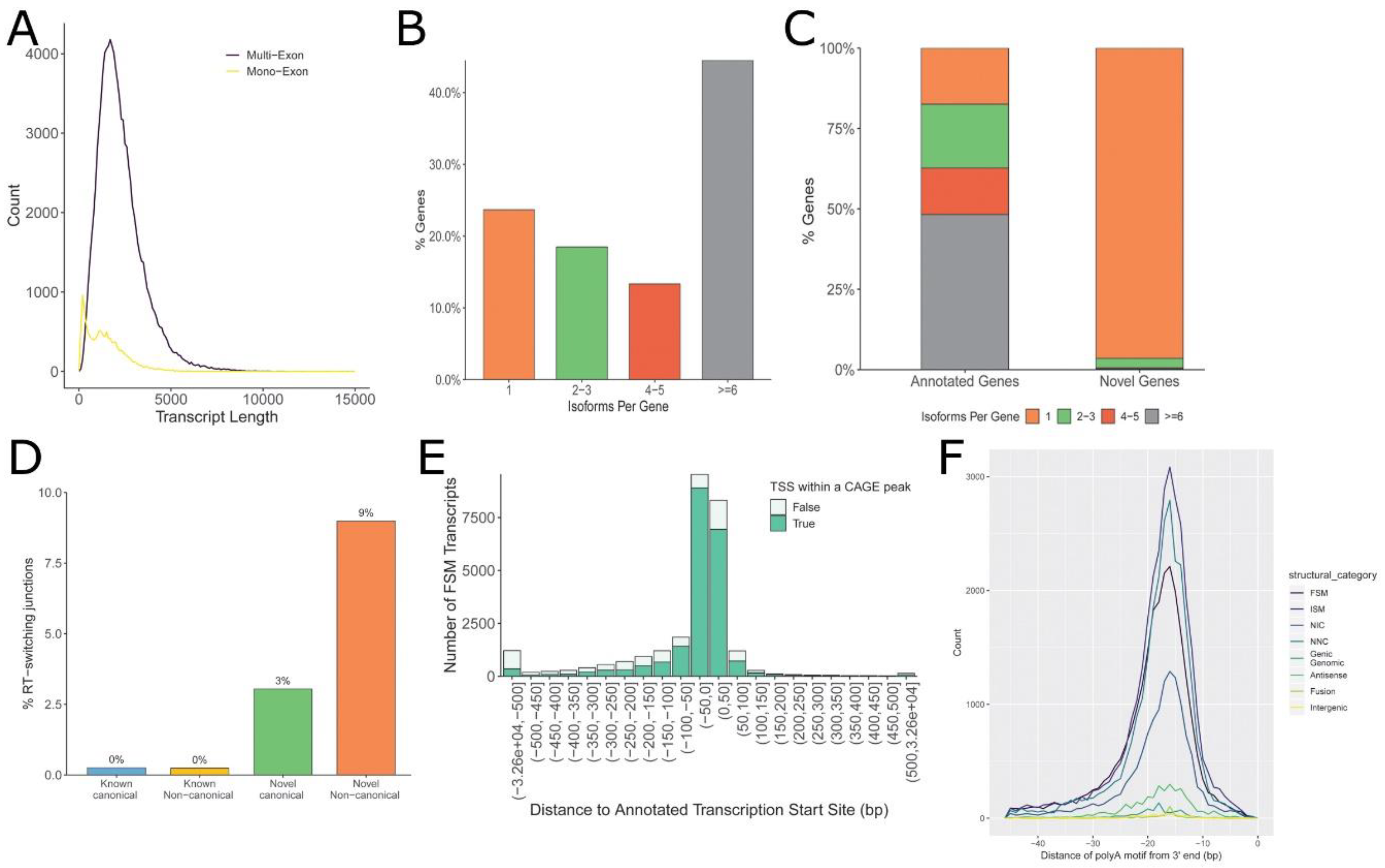 Viruses 13 00218 g002 Viruses 13 00218 g002