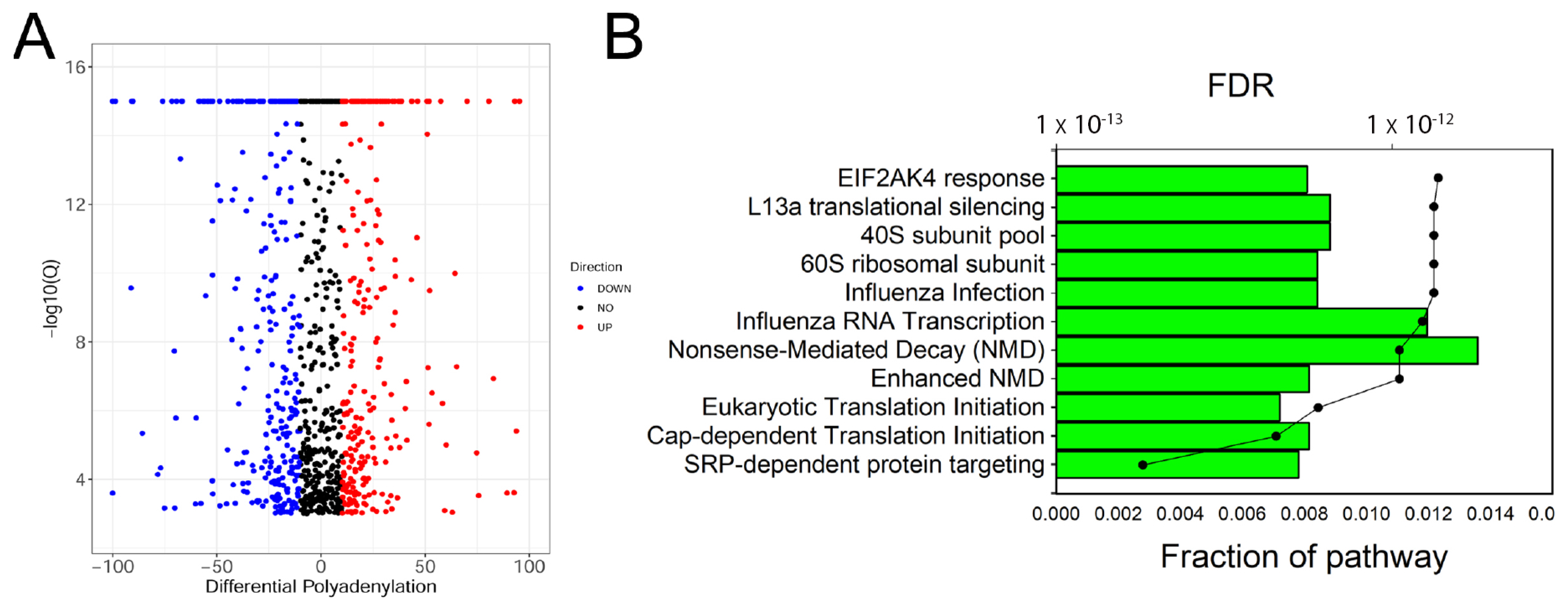 Viruses 13 00218 g003 Viruses 13 00218 g003