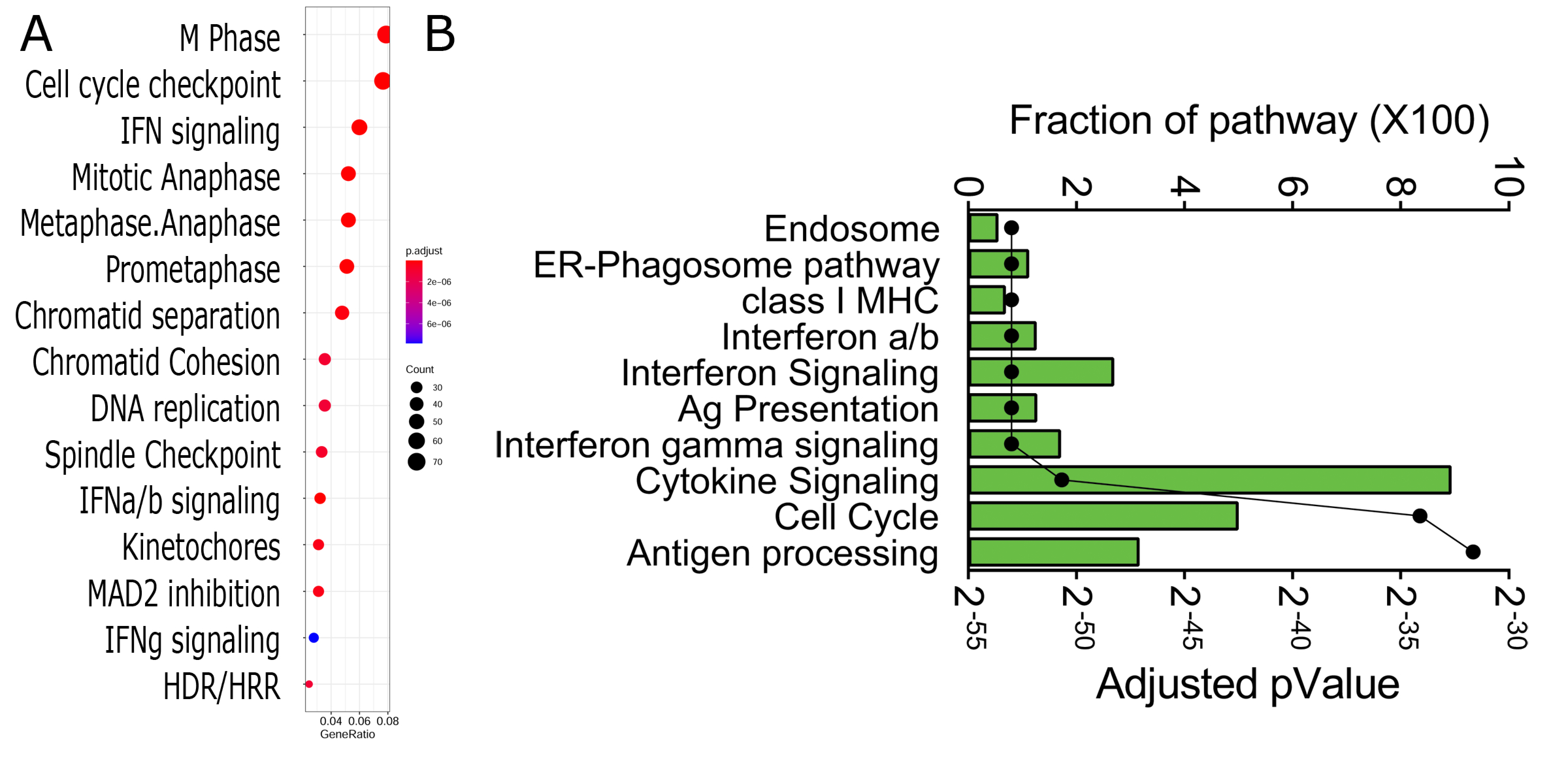Viruses 13 00218 g005 Viruses 13 00218 g005