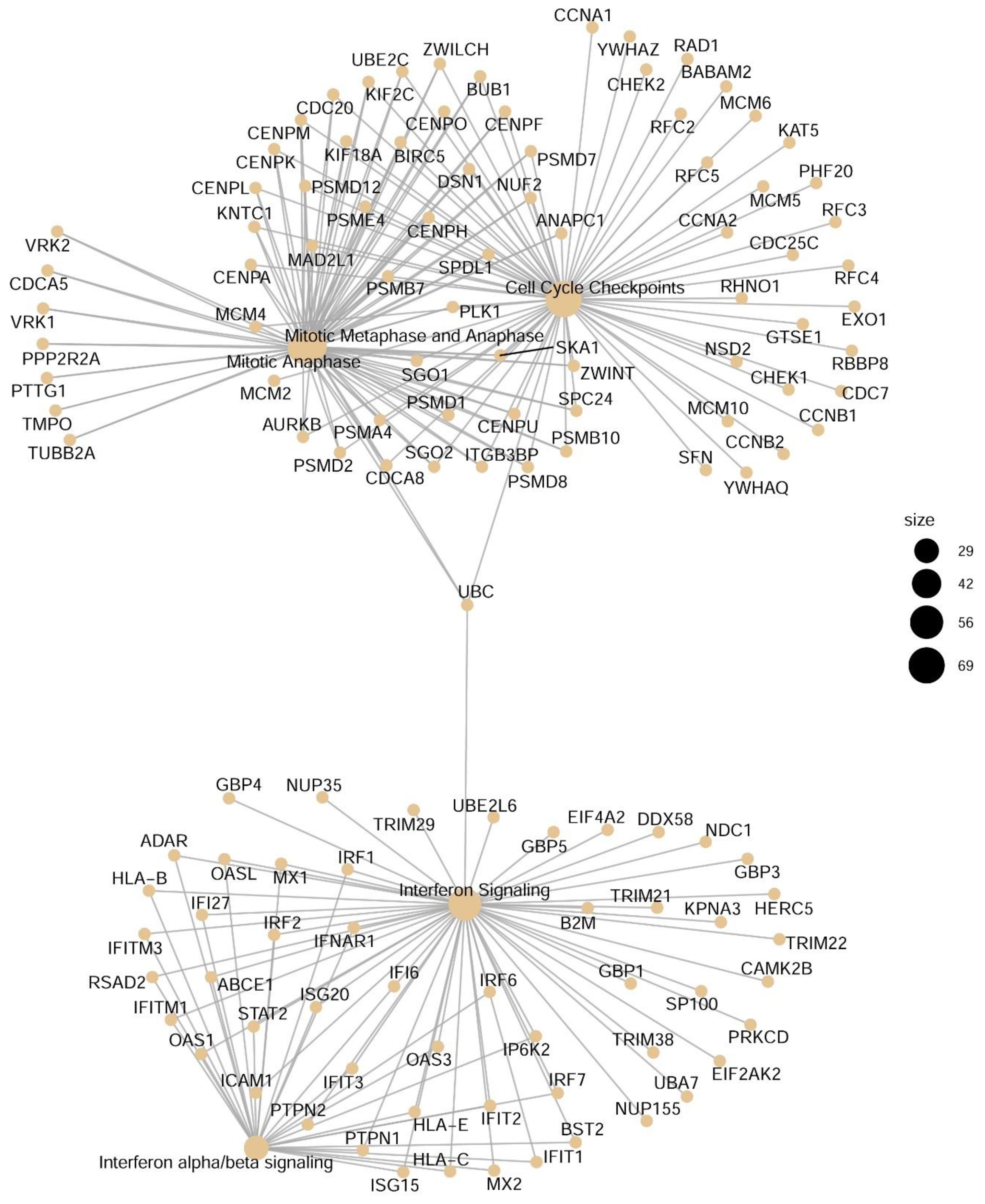Viruses 13 00218 g006 Viruses 13 00218 g006