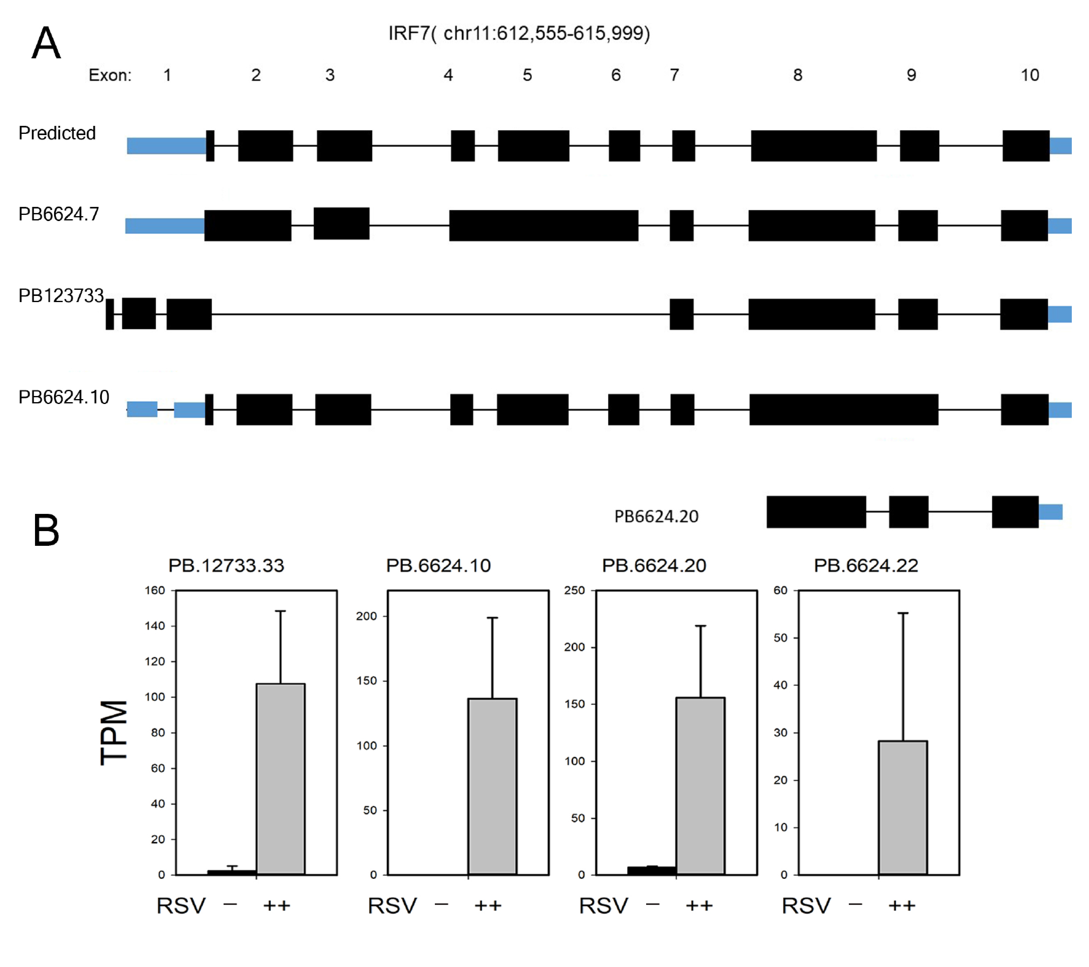 Viruses 13 00218 g009 Viruses 13 00218 g009