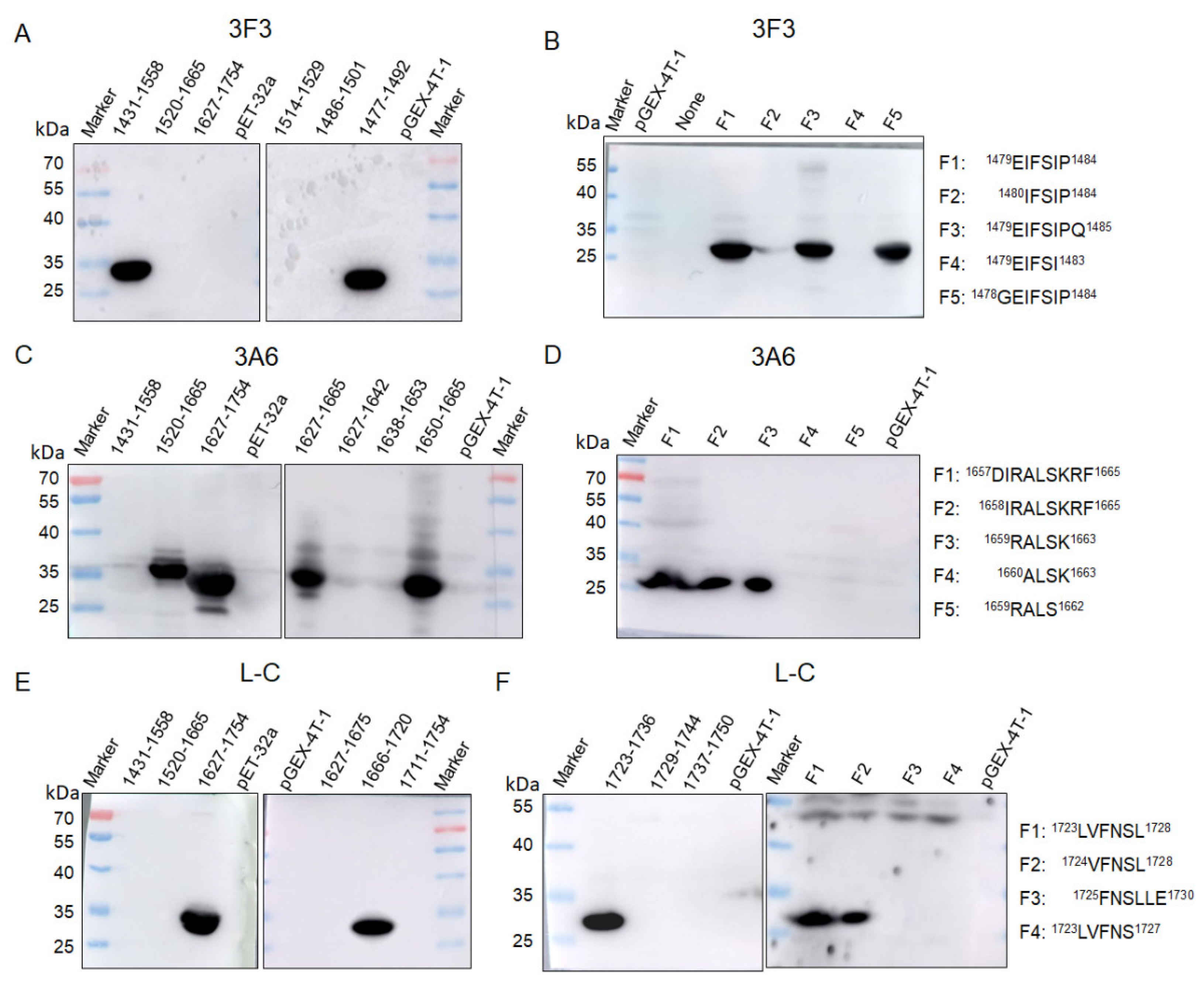 Viruses 13 00220 g003 Viruses 13 00220 g003