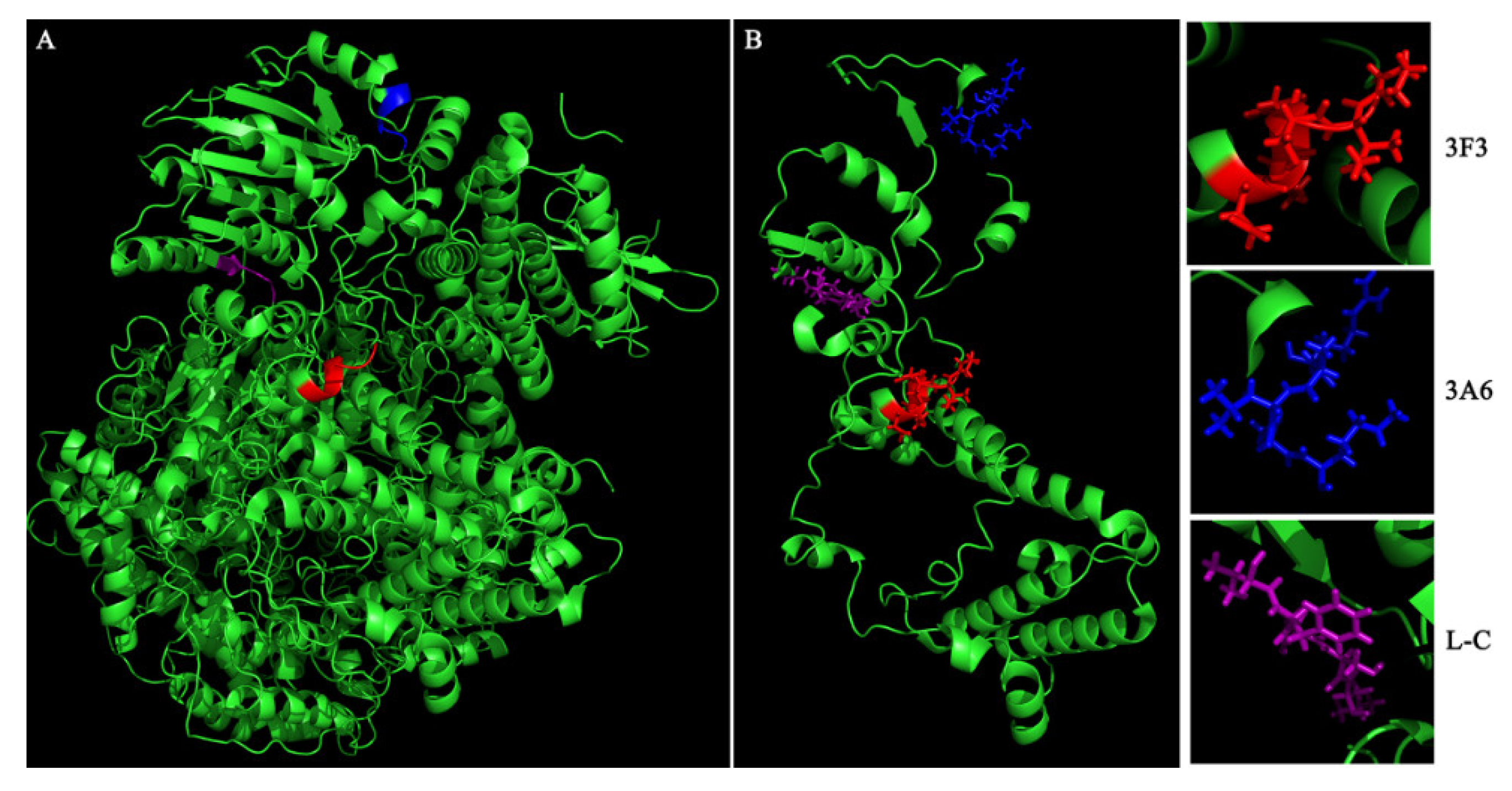 Viruses 13 00220 g004 Viruses 13 00220 g004