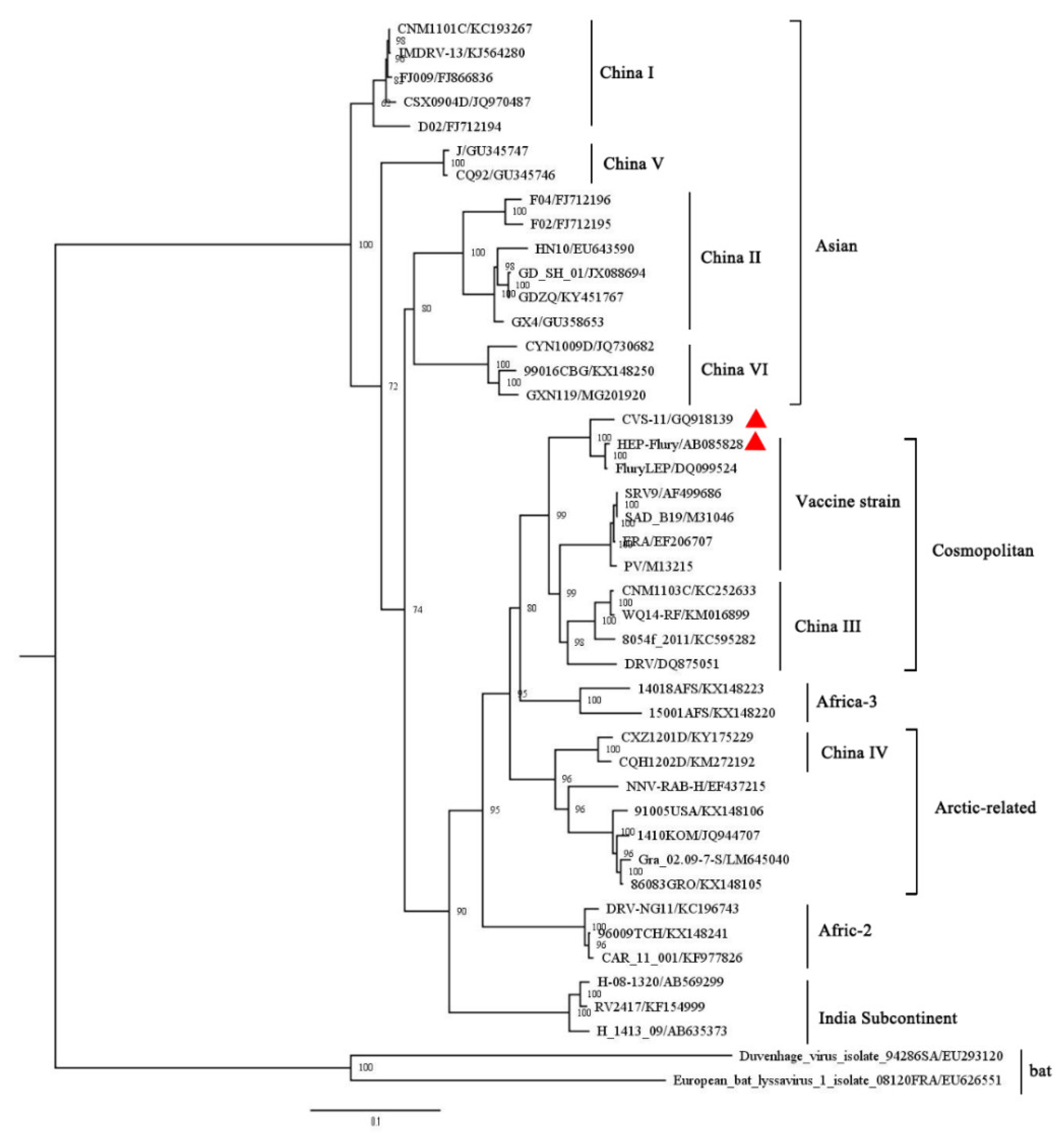 Viruses 13 00220 g006 Viruses 13 00220 g006