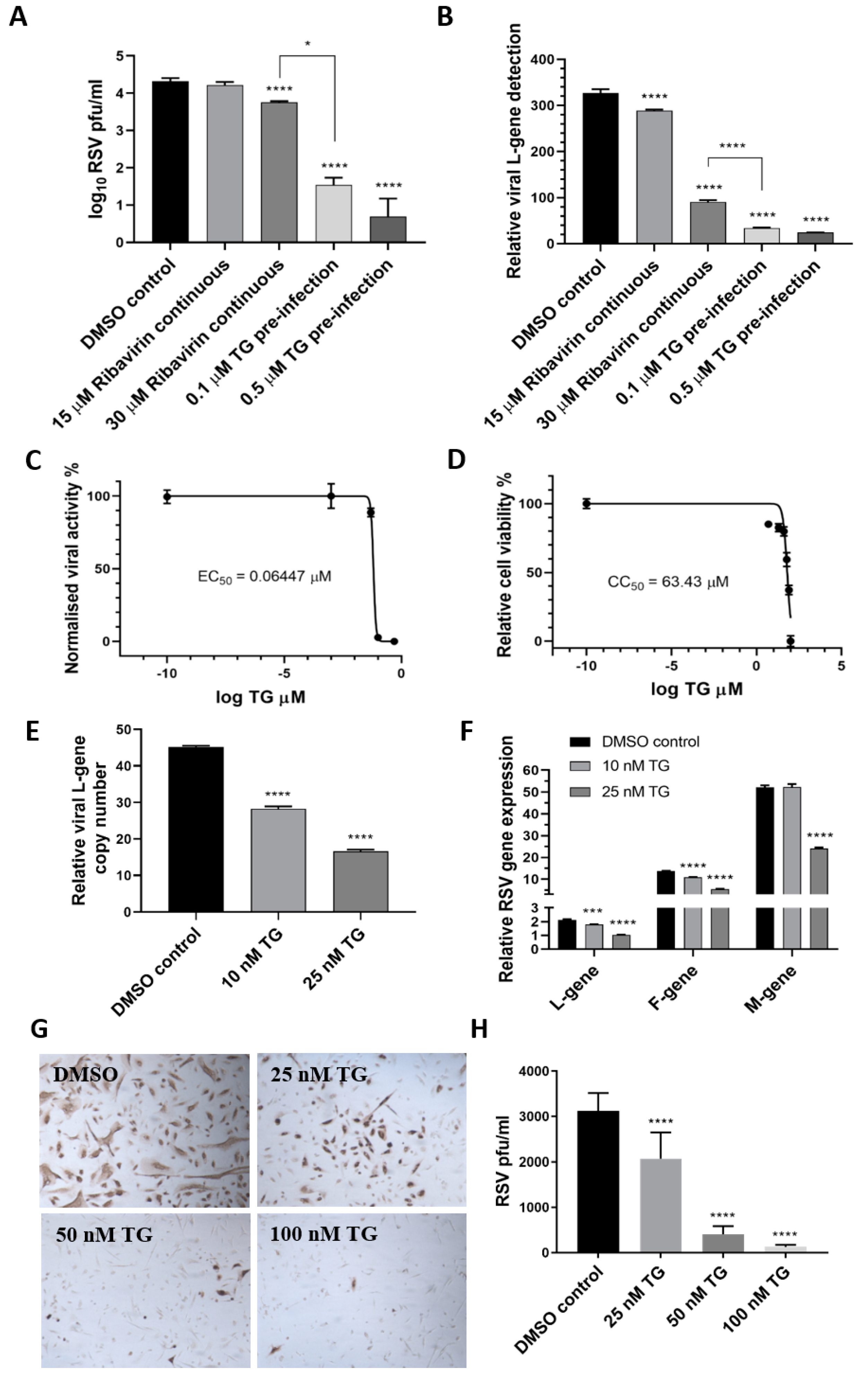 viruses free full text thapsigargin is a broad spectrum inhibitor of major human respiratory viruses coronavirus respiratory syncytial virus and influenza a virus html