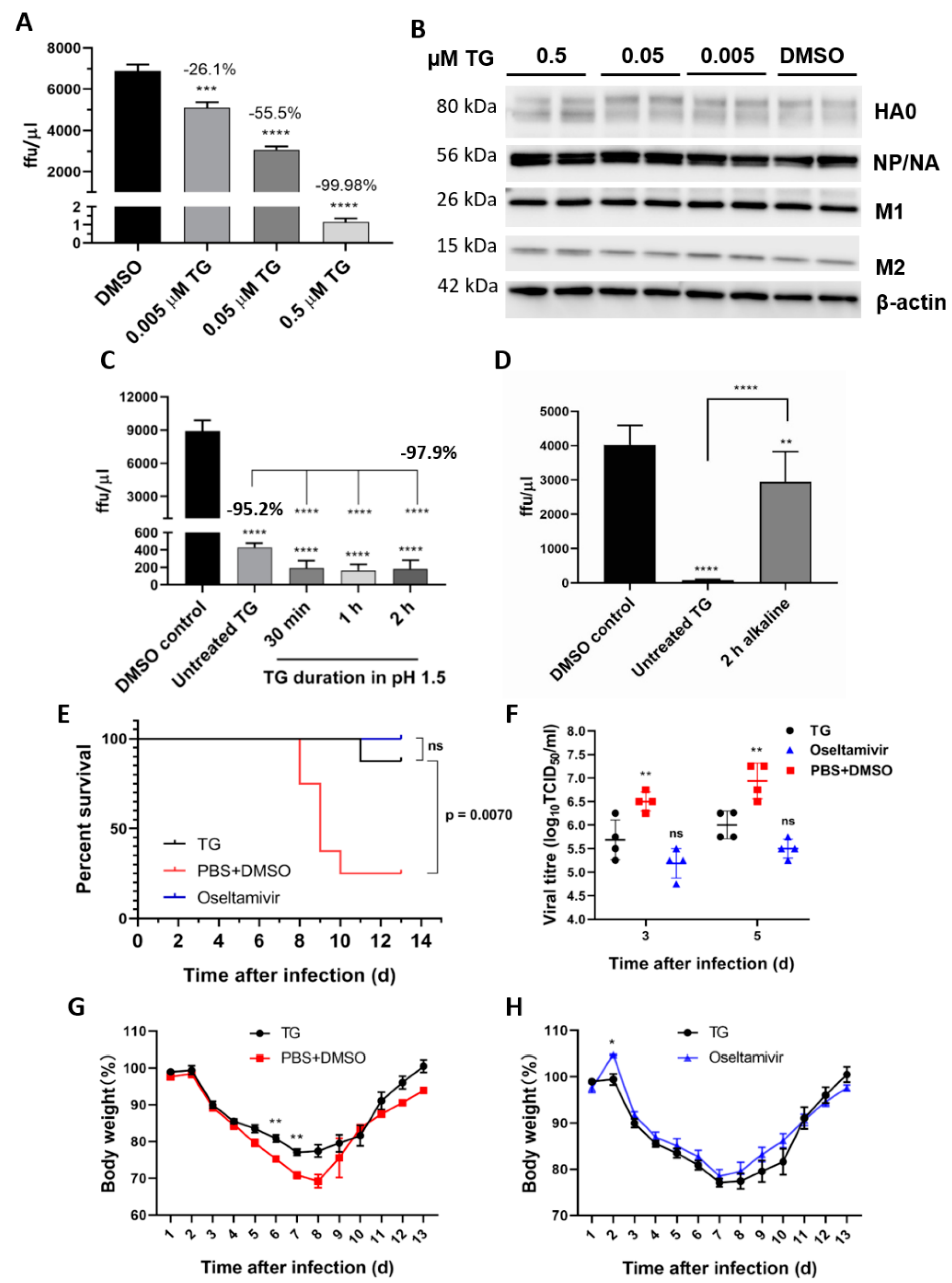 viruses free full text thapsigargin is a broad spectrum inhibitor of major human respiratory viruses coronavirus respiratory syncytial virus and influenza a virus html