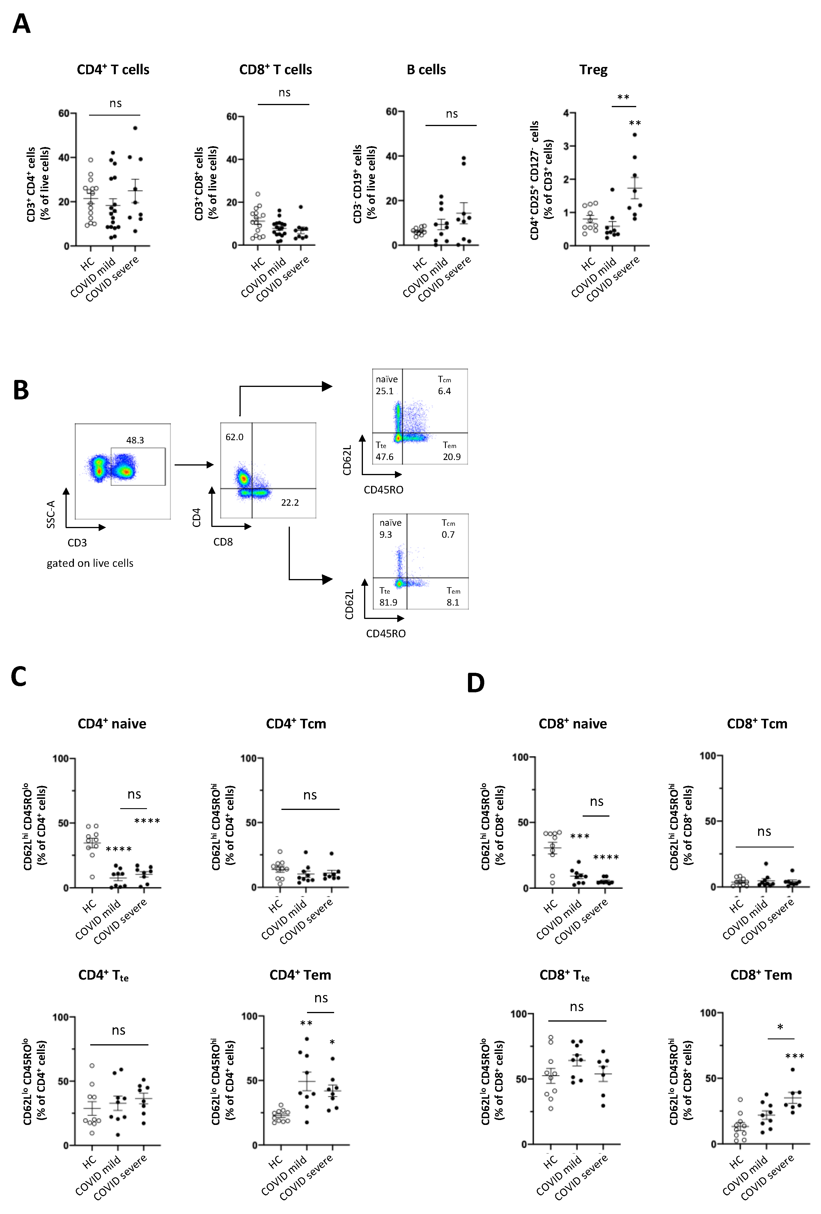 Viruses 13 00241 g001 Viruses 13 00241 g001