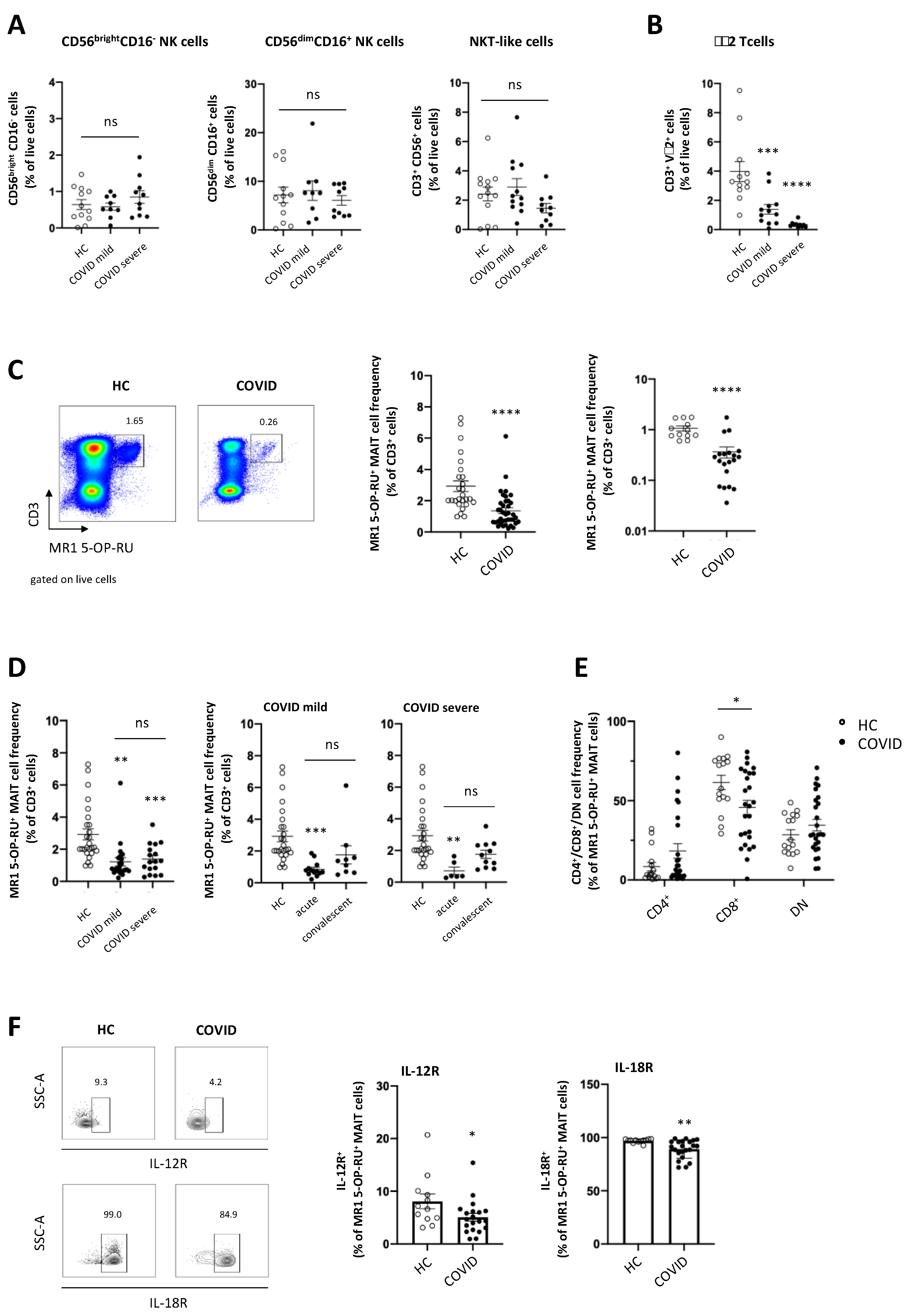 Viruses 13 00241 g002 Viruses 13 00241 g002