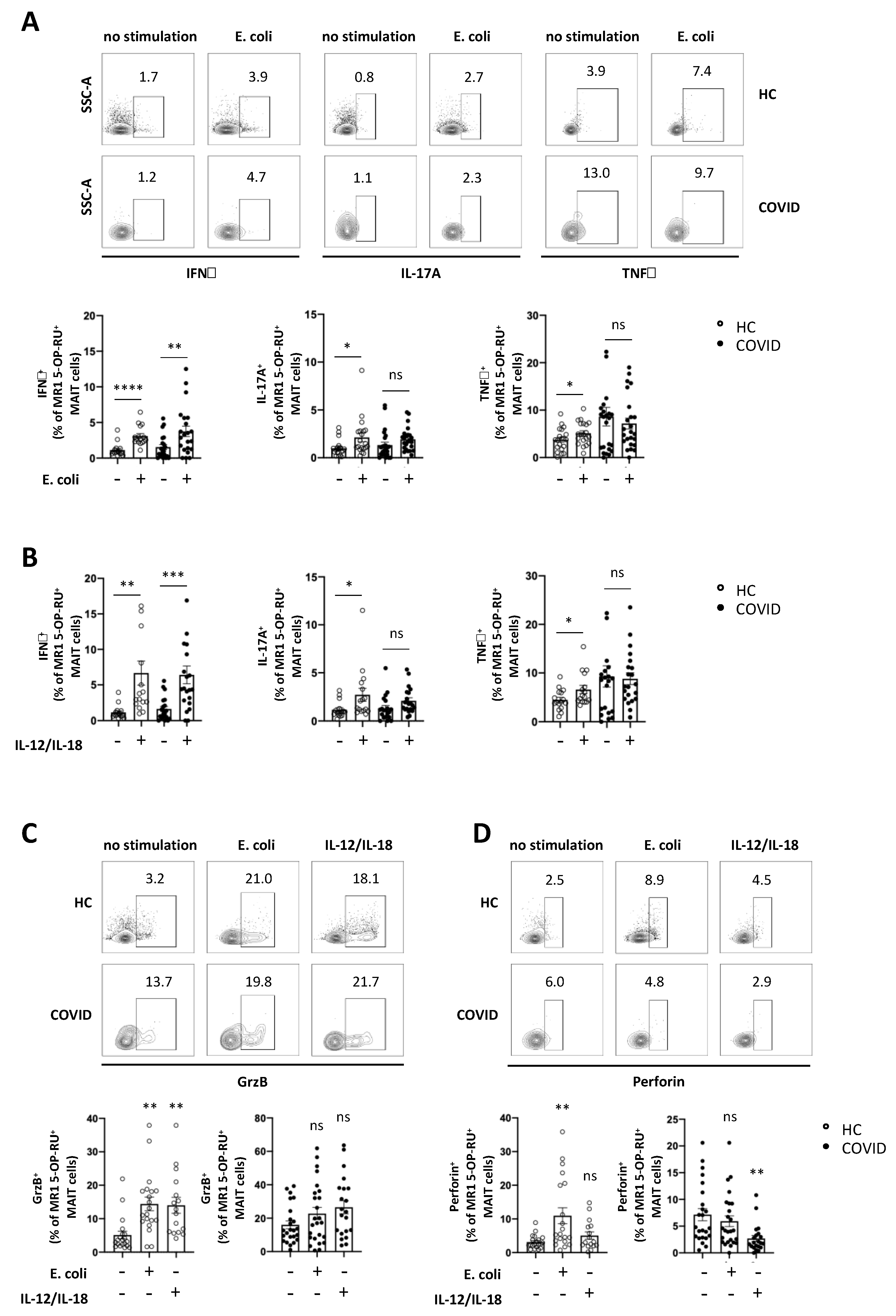 Viruses 13 00241 g004 Viruses 13 00241 g004