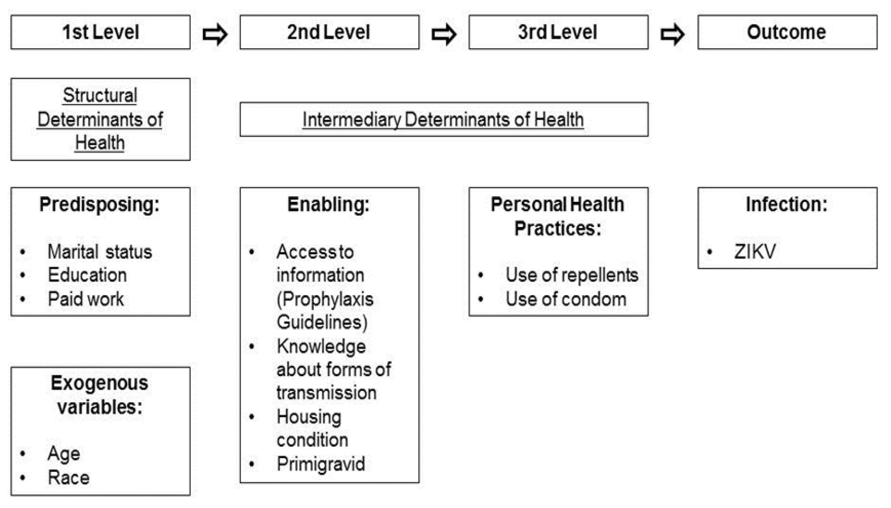 Viruses 13 00242 g001