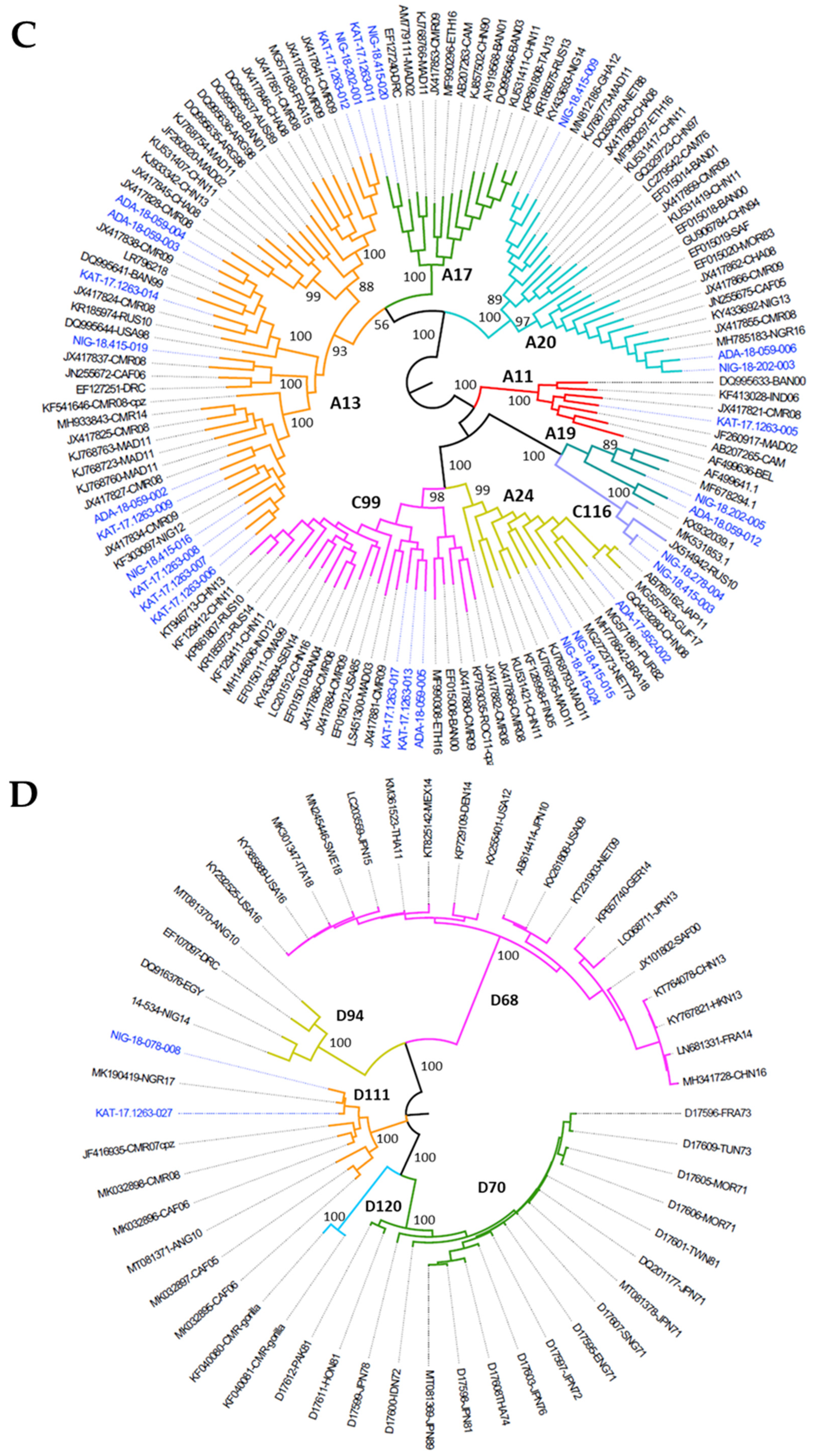 Viruses 13 00249 g003b Viruses 13 00249 g003b