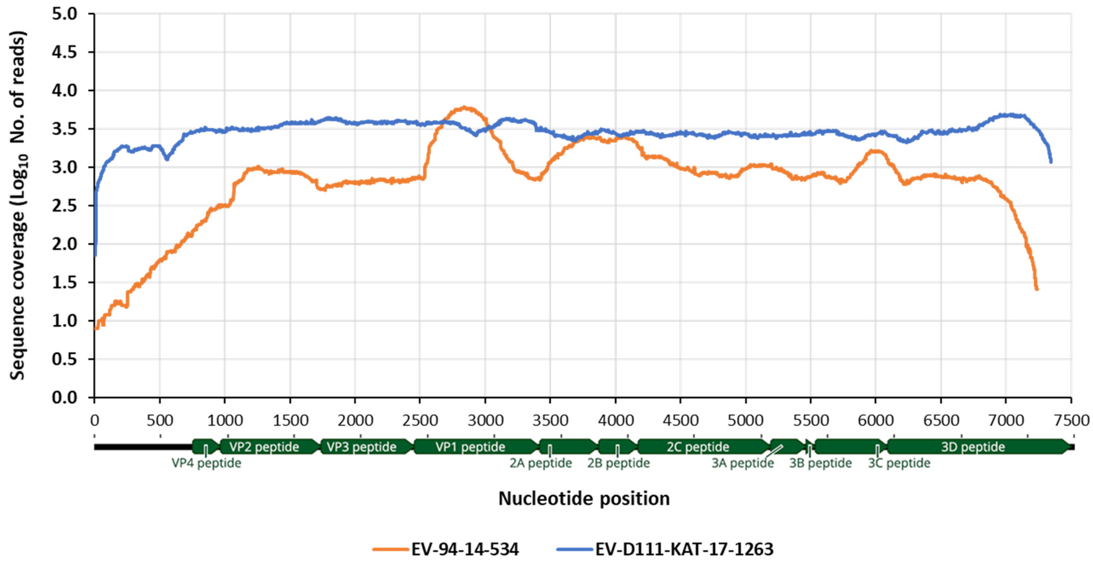 Viruses 13 00249 g004 Viruses 13 00249 g004